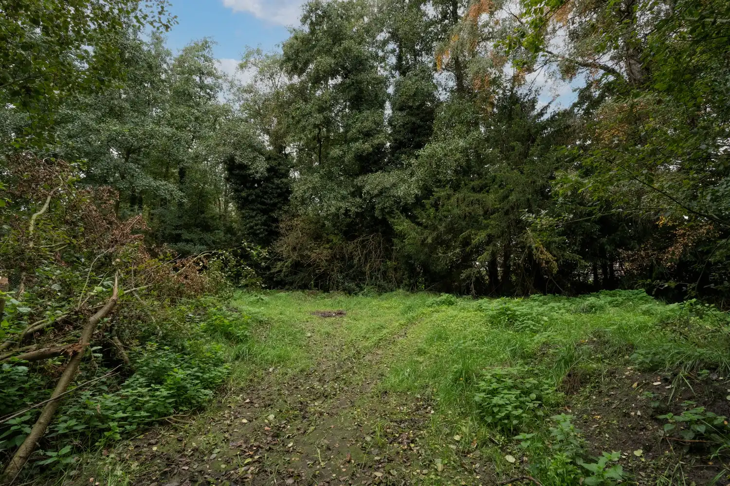 Vrijstaande woning met 5 slk op ruim perceel van 30 are in Pelt foto 40