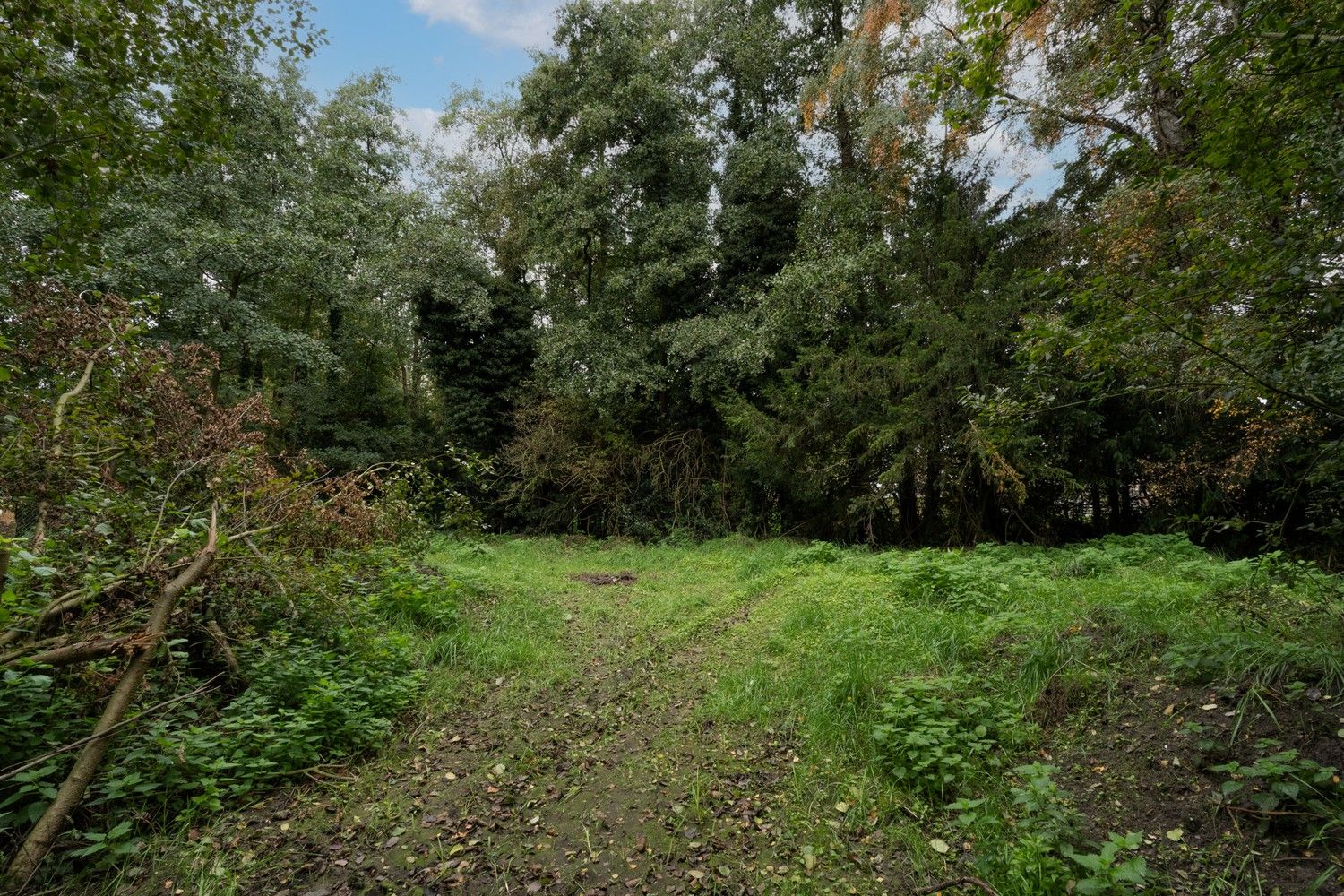 Vrijstaande woning met 5 slk op ruim perceel van 30 are in Pelt foto 40