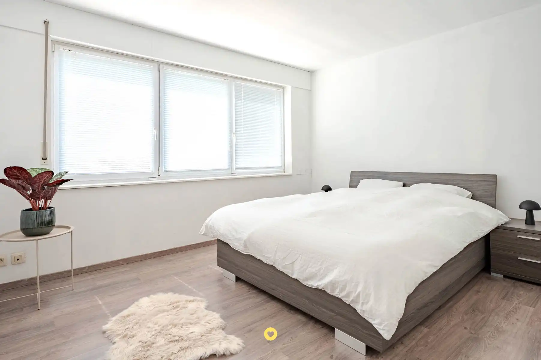 Instapklare woning in Noeveren met 2 à 3 slaapkamers foto 8