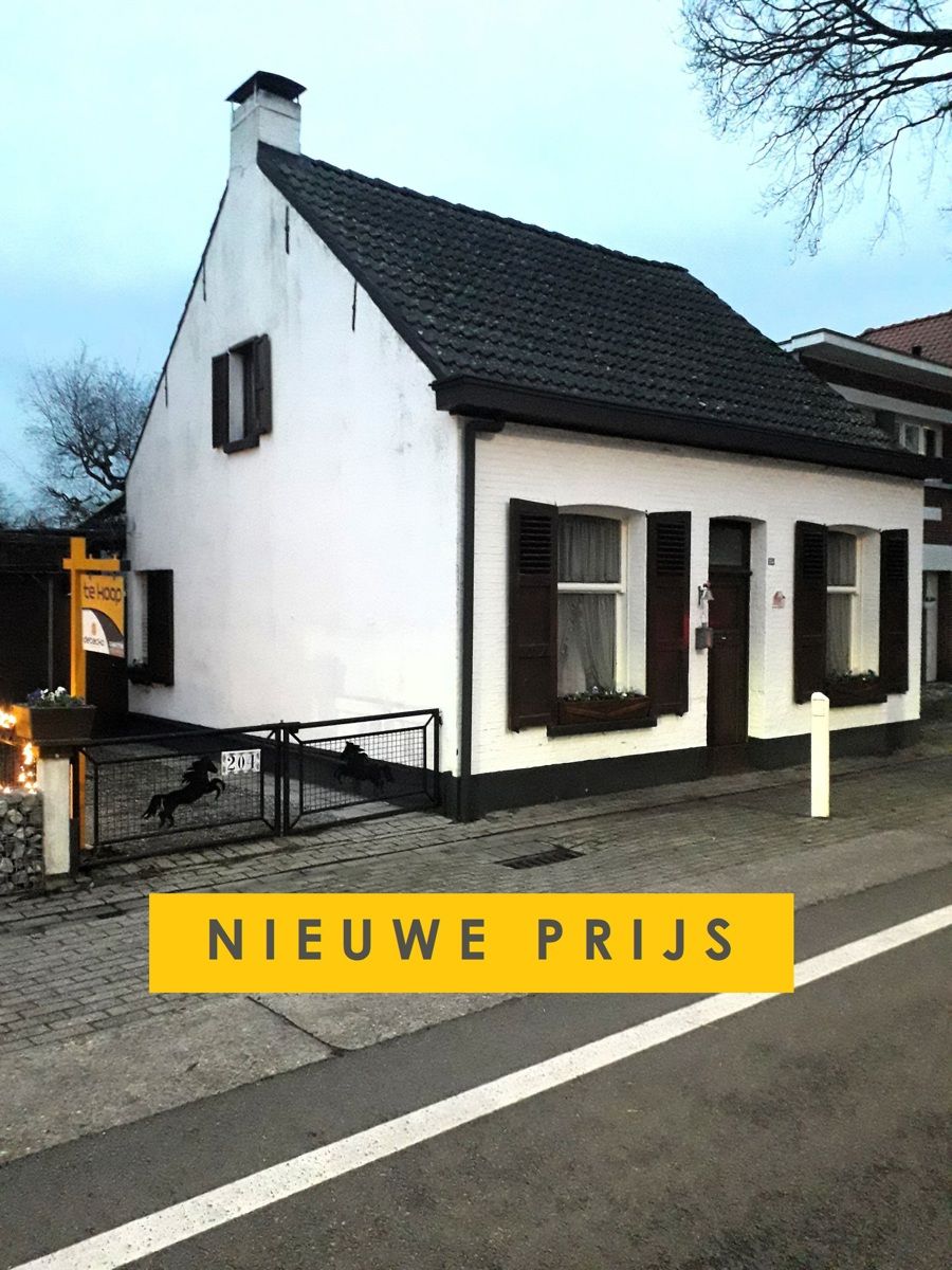 ()=>{if(producerUpdateValueVersion(node),producerAccessed(node),node.value===ERRORED)throw node.error;return node.value} Kalmthoutsesteenweg 204 - 2910 ESSEN