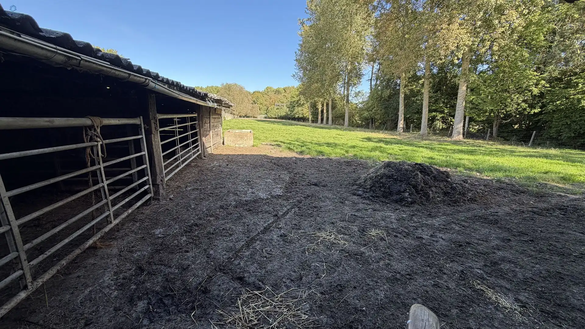 WEIDE MET SCHUUR TE KOOP TE GERAARDSBERGEN foto 3
