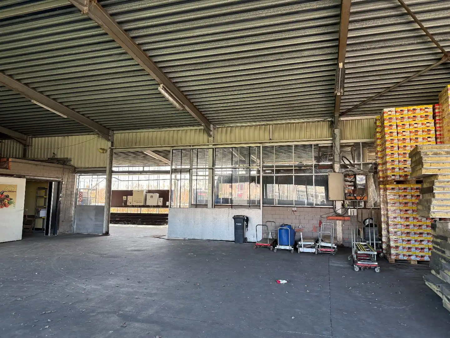 Serrecomplex met agrarische grond en magazijn foto 8