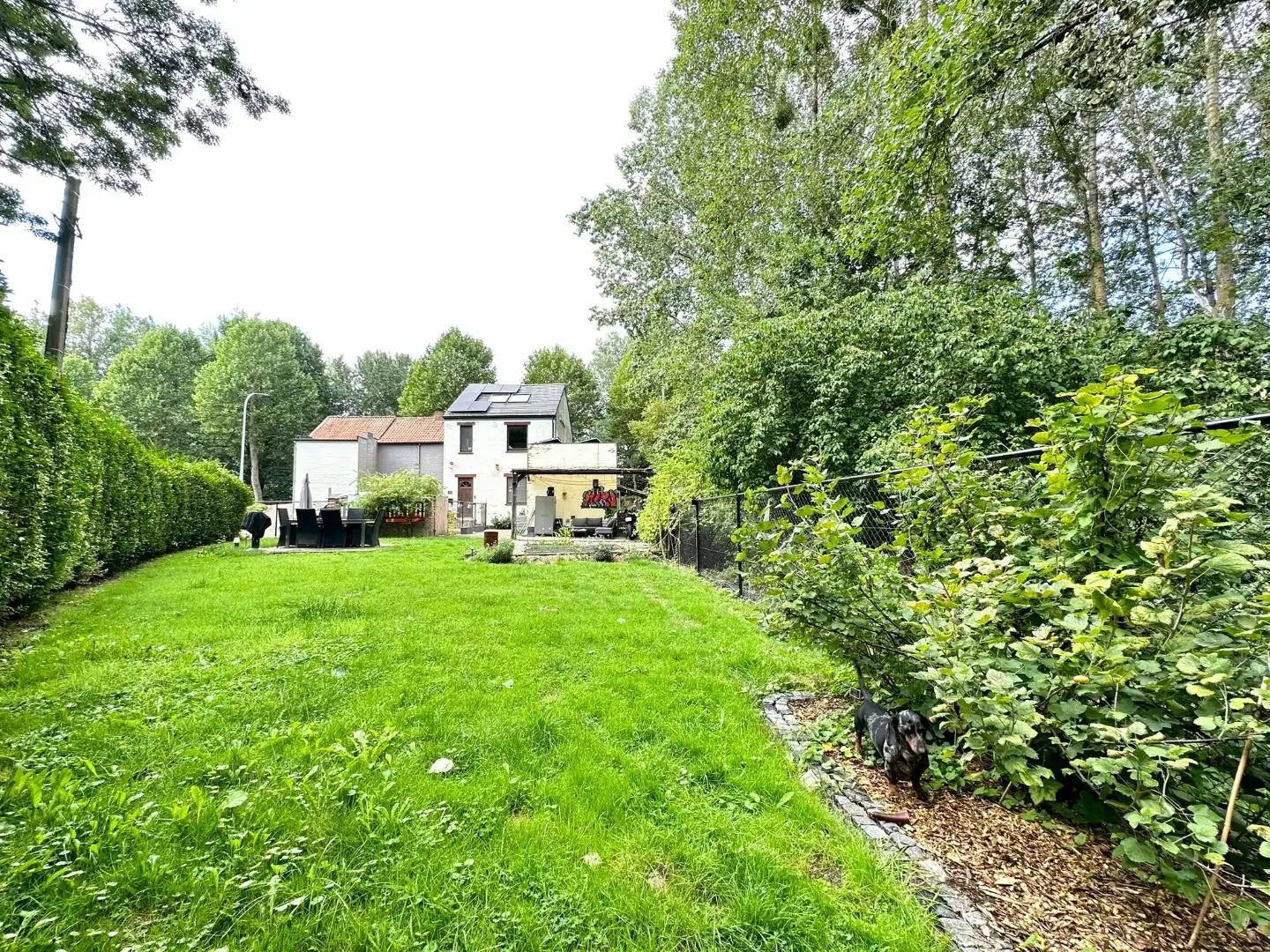 Charmante woning met drie slaapkamers en tuin in Tongeren-Borgloon foto 17
