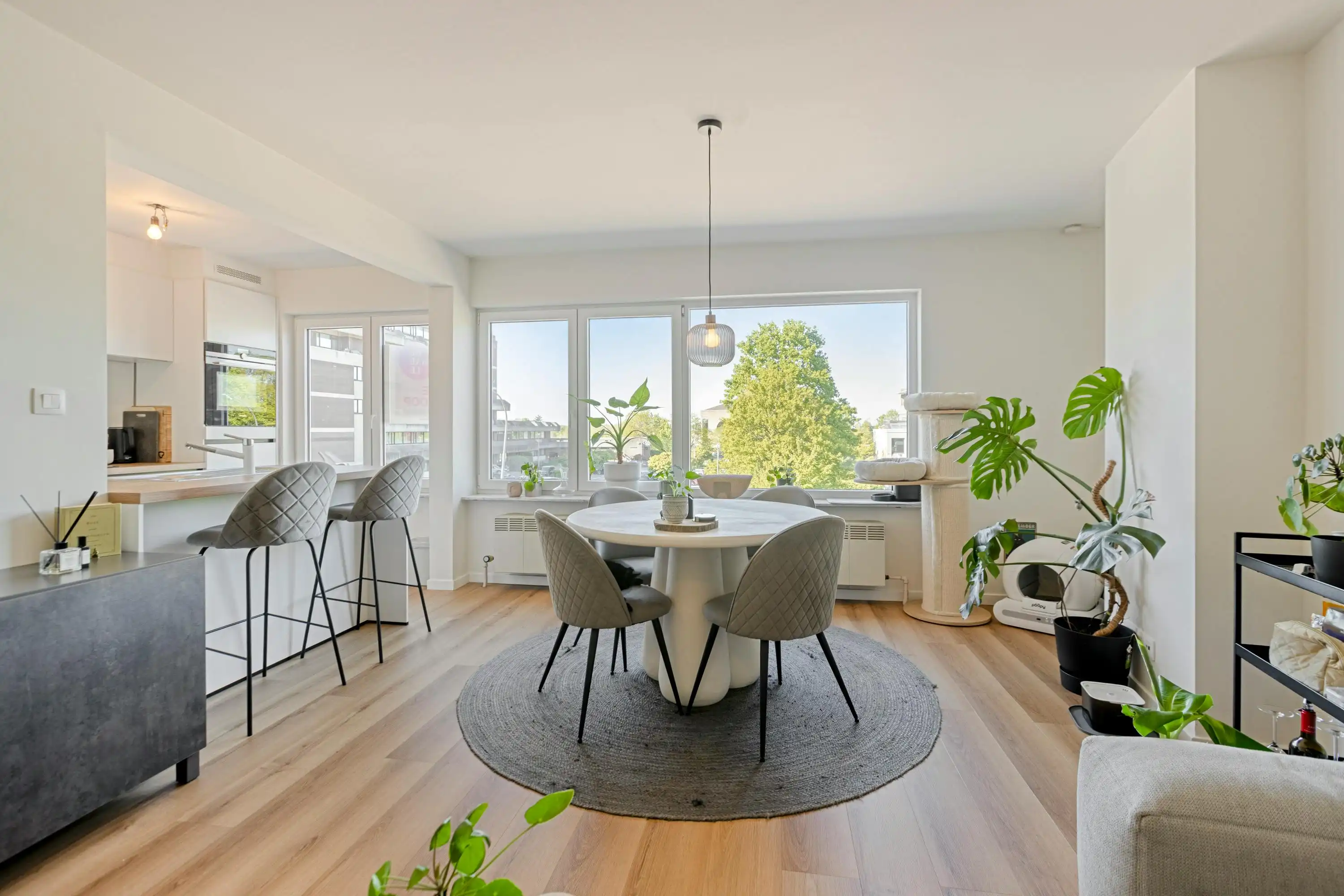 2-slaapkamer appartement met zuidgericht terras in Hasselt foto 4