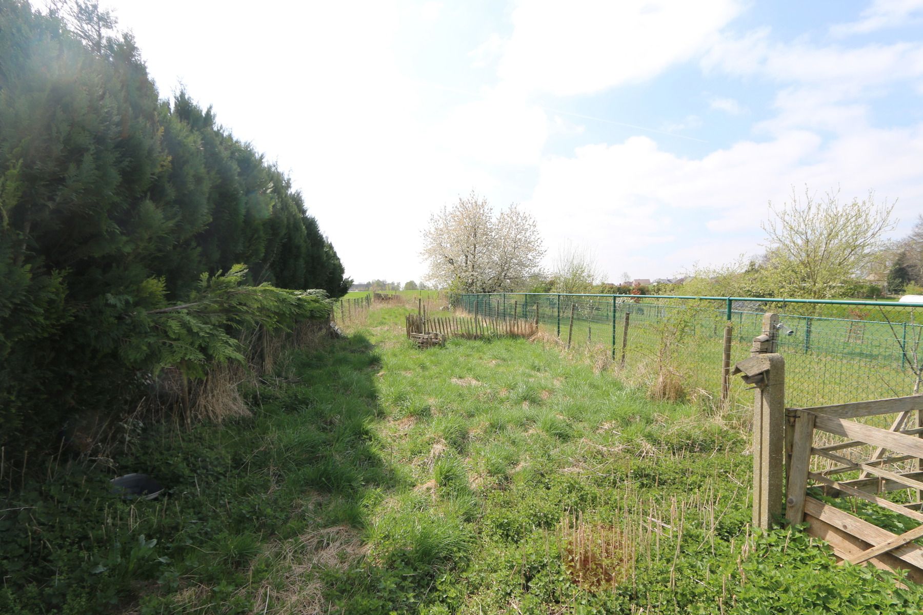 WONING - 2 tot 3 SLK - 2 BDK - GARAGE - TERRAS - TUIN - WEI foto 17