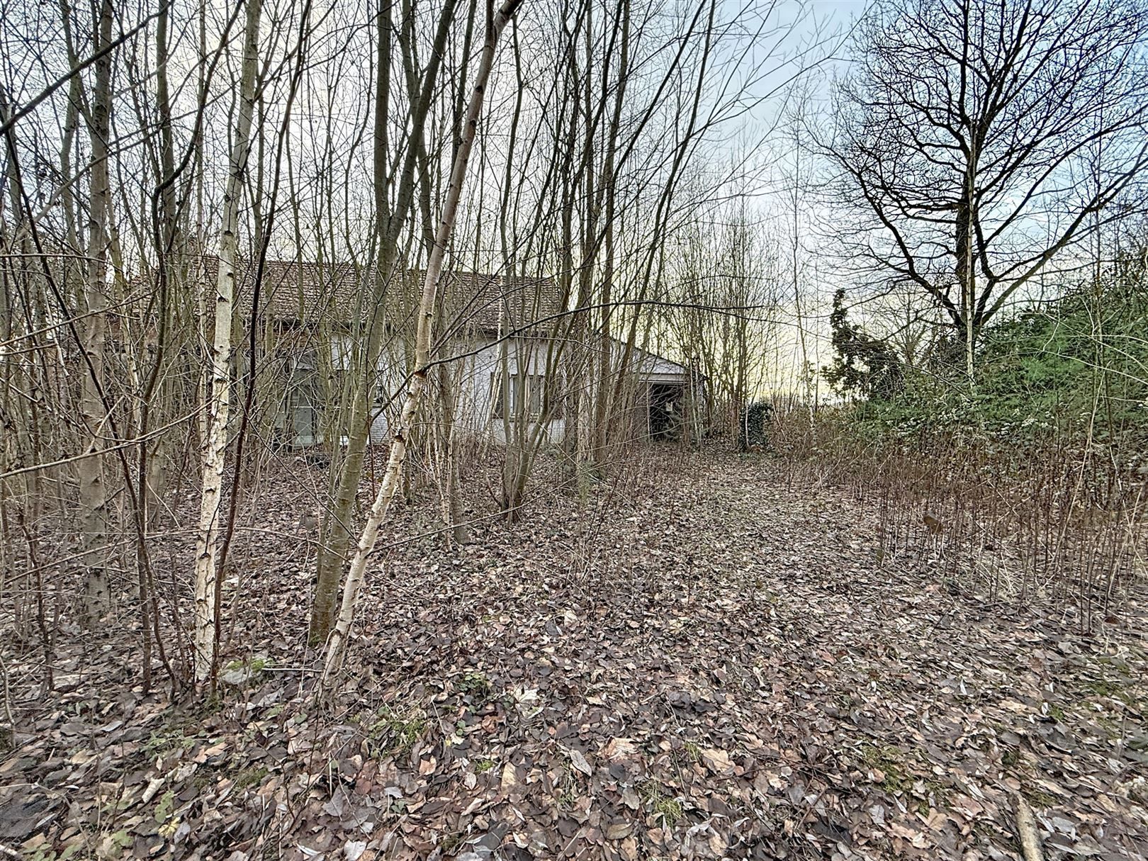 Te renoveren en/of af te breken woning + nieubouw , opp 39a 40ca foto 5