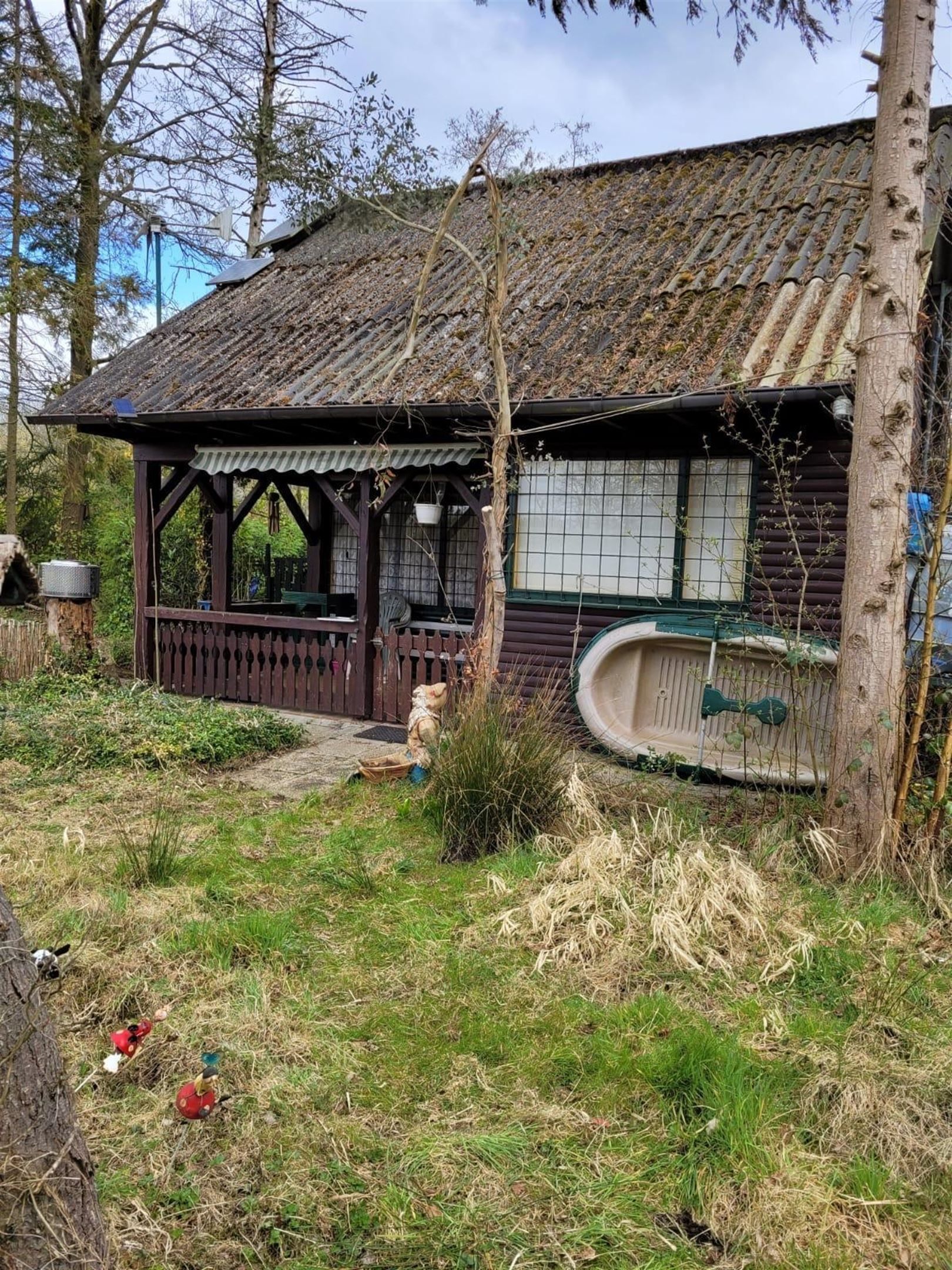 Vijver foto 16
