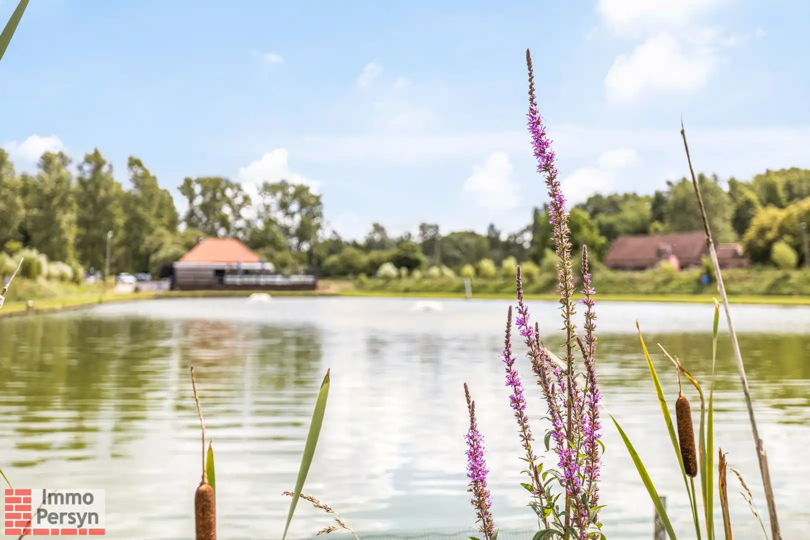 De spellehut zoekt nieuwe eigenaar foto 31