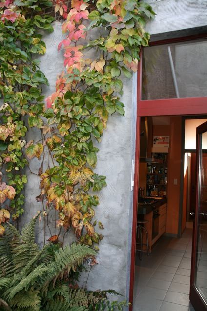 Rijwoning met terras foto 3