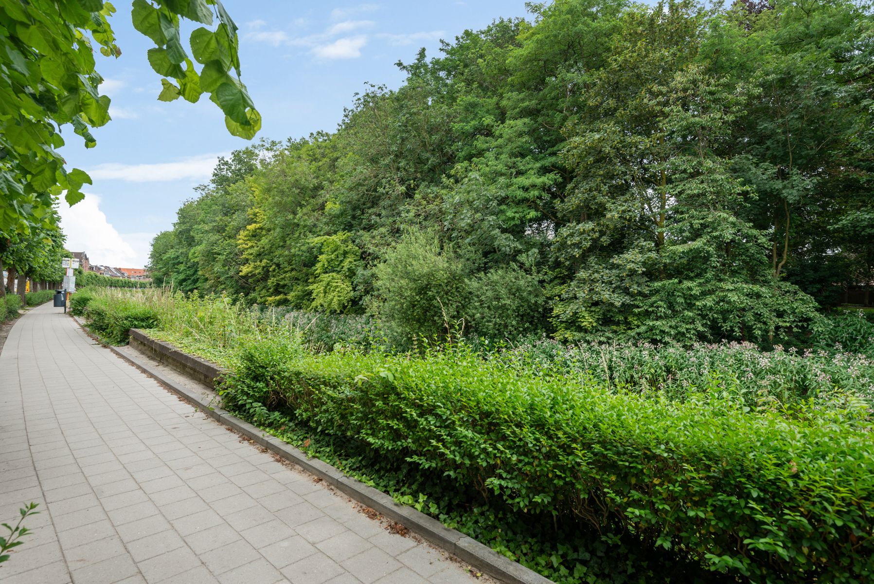 Degelijk gerenoveerde woning aan de Vesten te Lier. foto 38