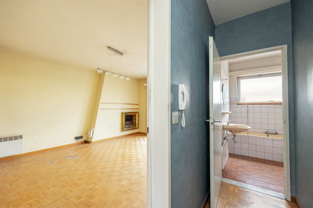 Op te frissen appartement met groot zonnig terras  foto 11