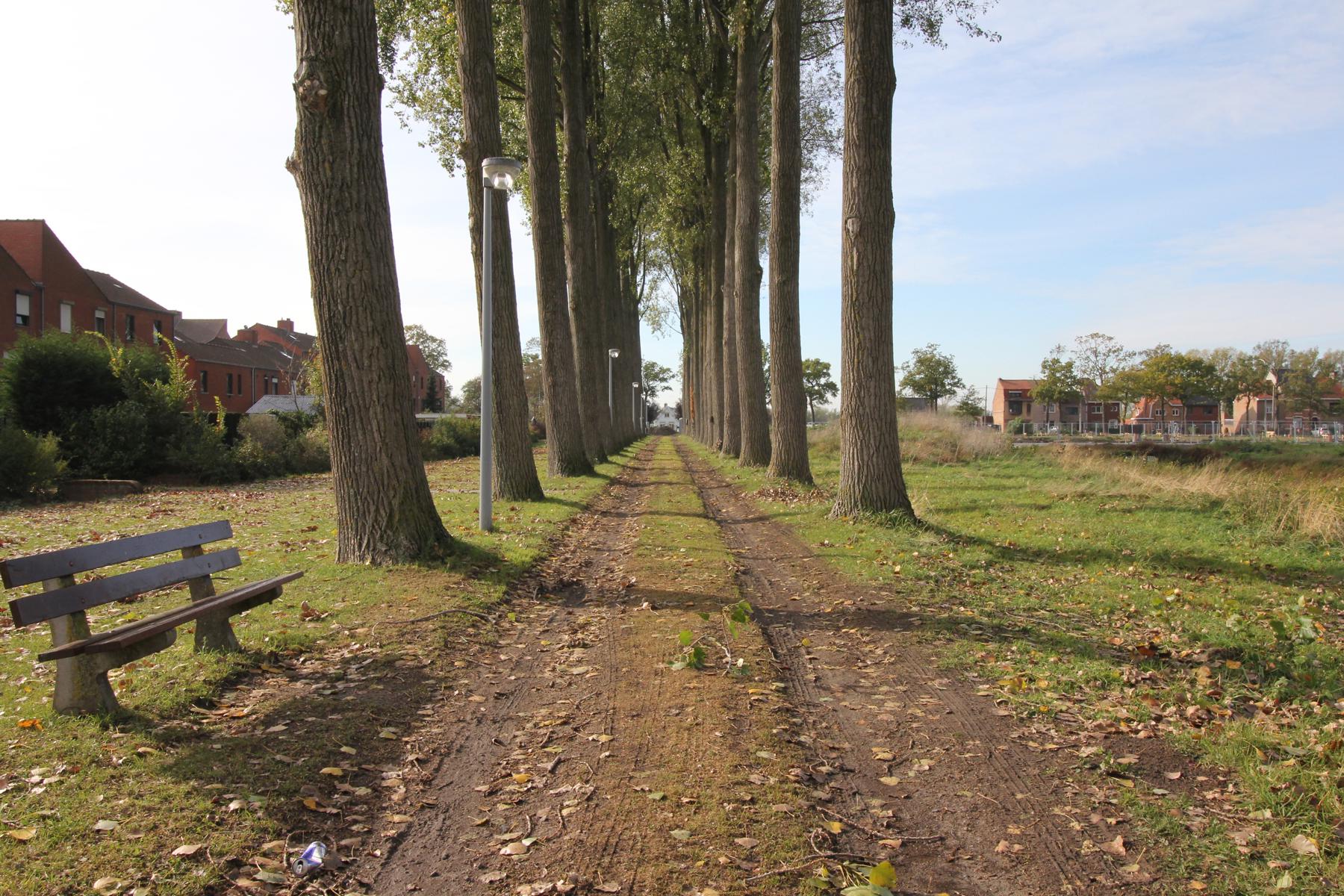 Perfect gelegen nieuwbouwproject op fietsafstand van Brugge foto 32