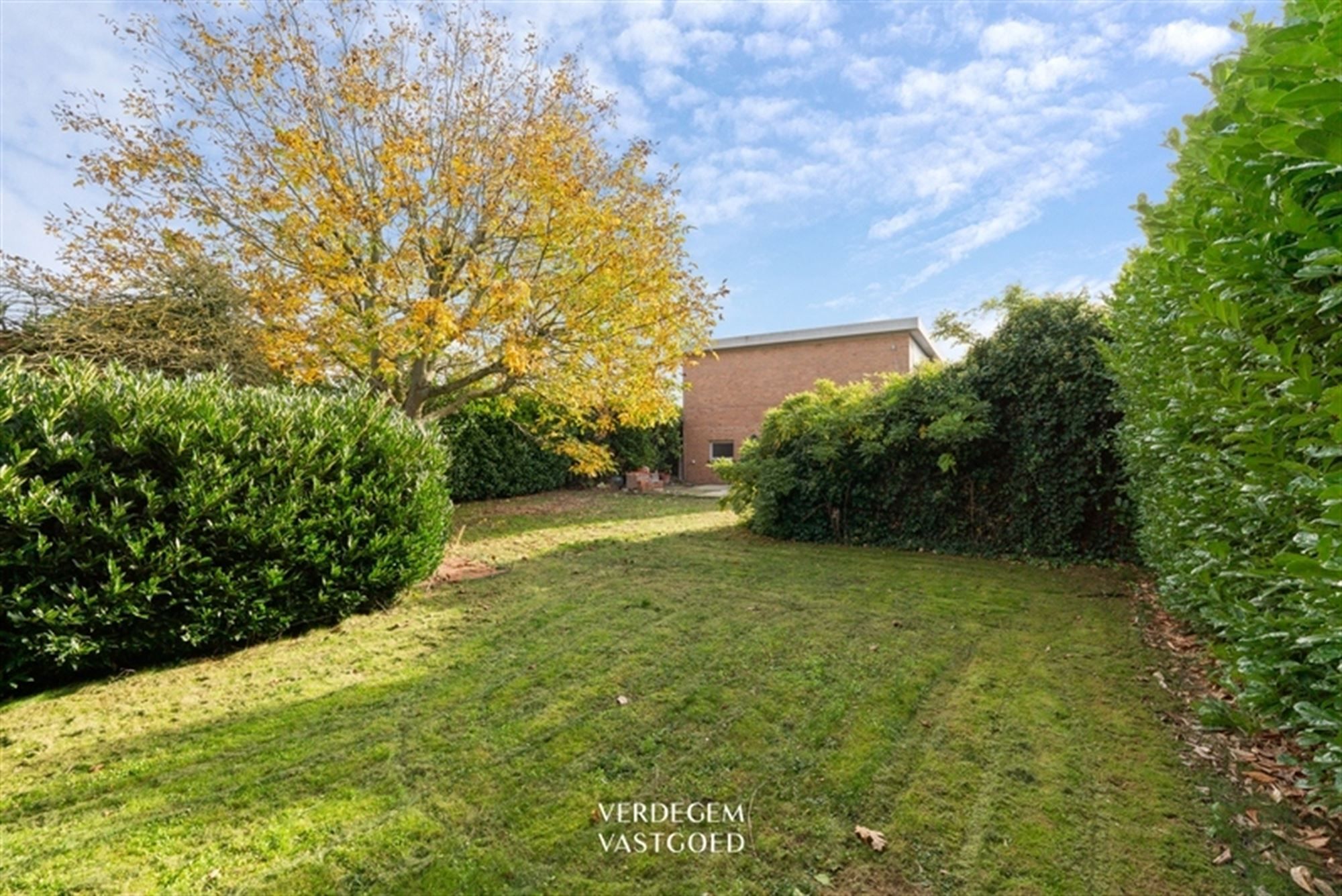 Woning voor totaalrenovatie of perceel voor nieuwbouw / ontwikkeling foto 15