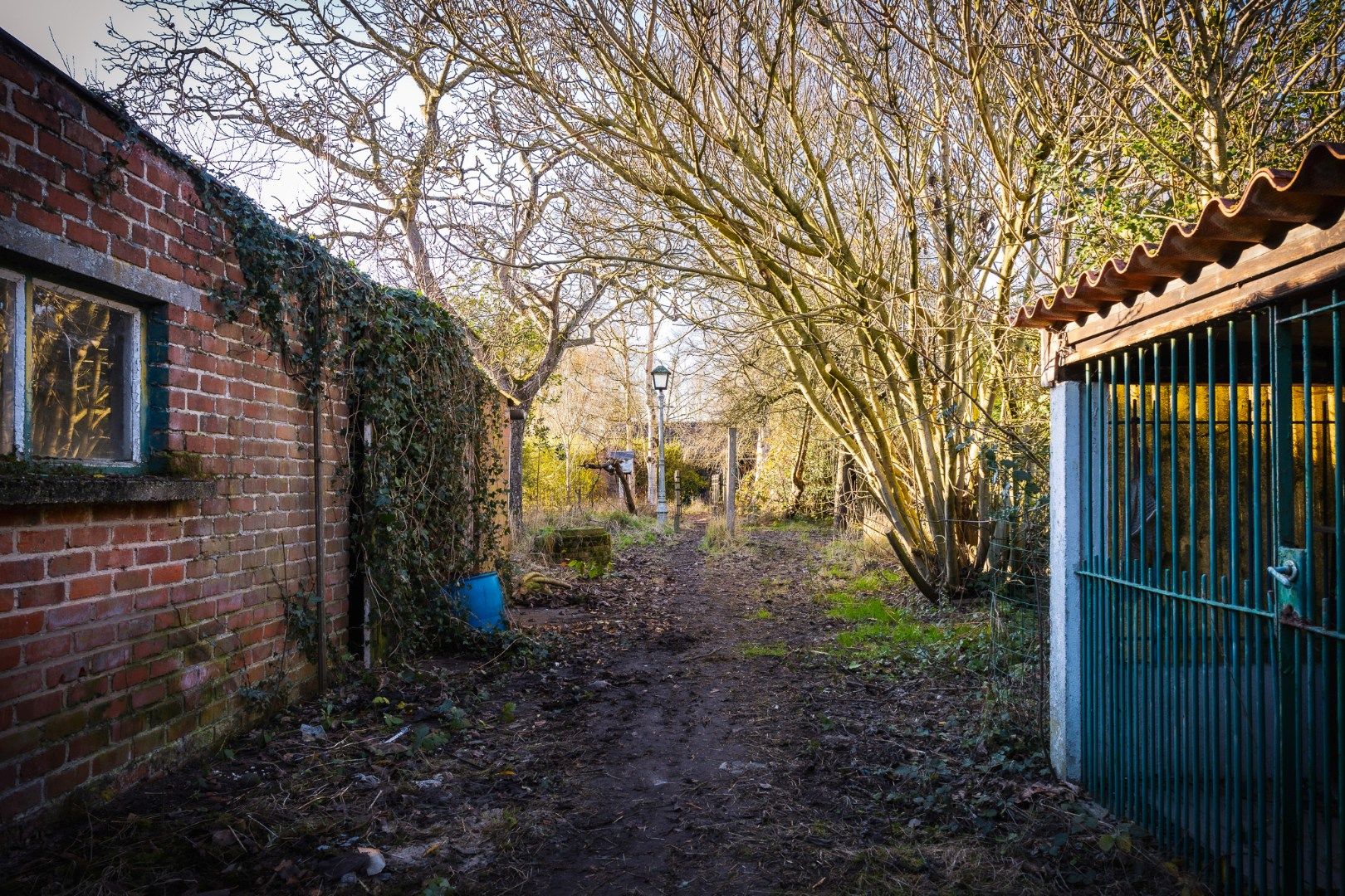 Grondig te renoveren / herop te bouwen woning te Maldegem foto 3
