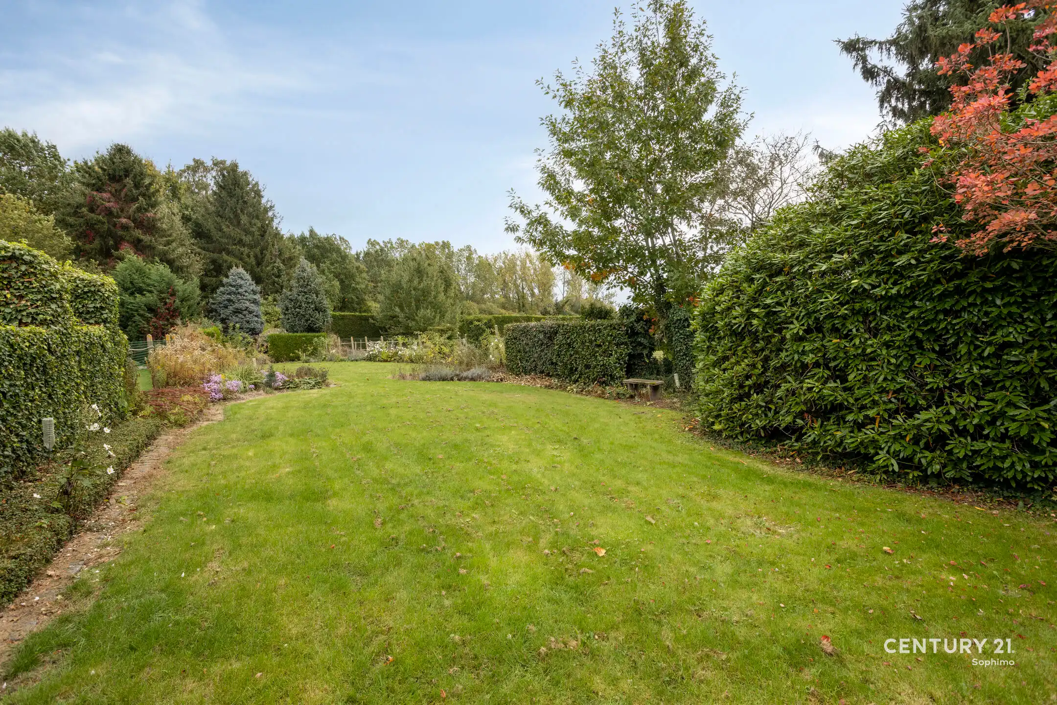 Halfopen bebouwing op perceel van 11a95 foto 19