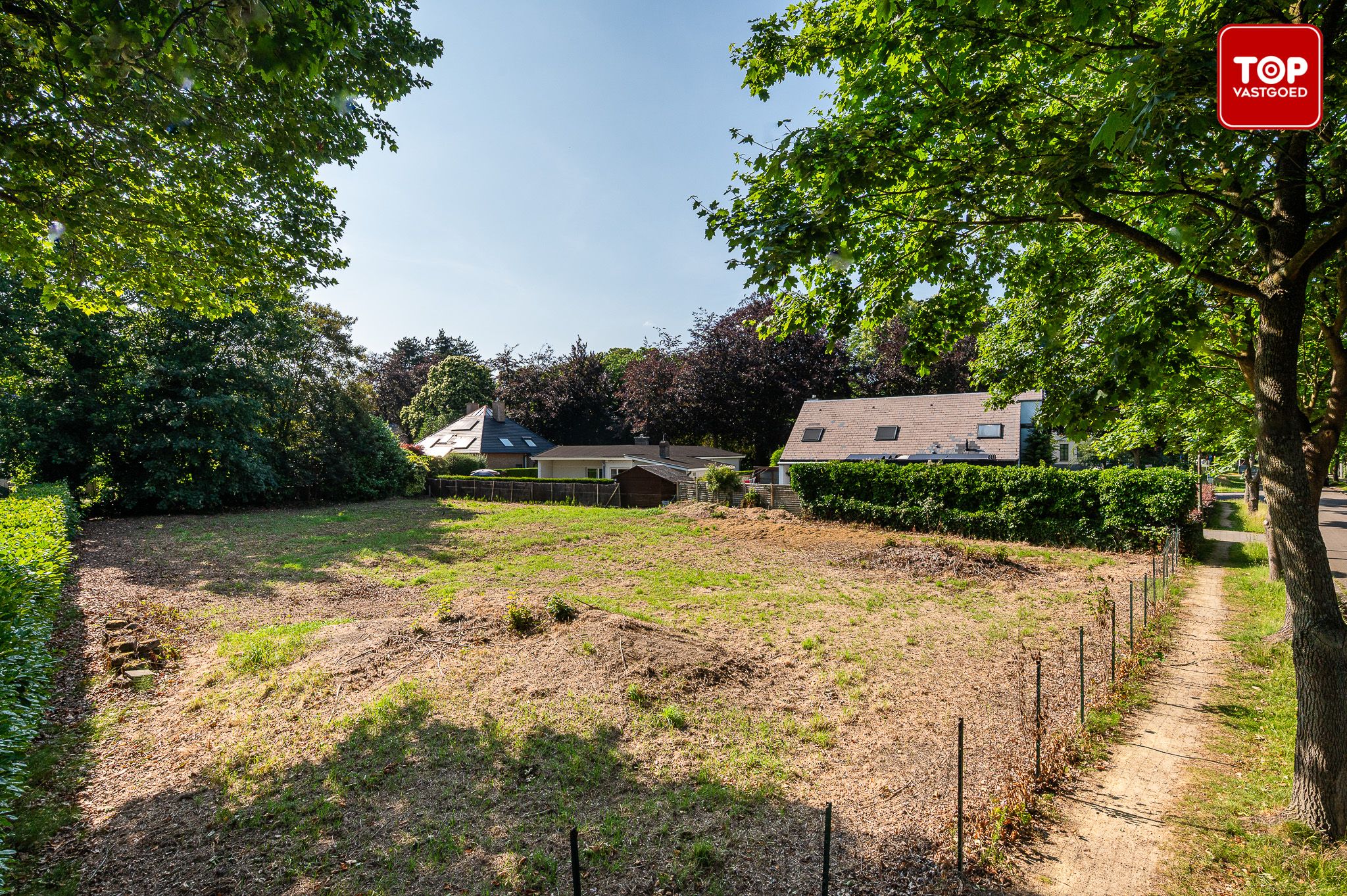 1200m² grond met tal van mogelijkheden foto 4