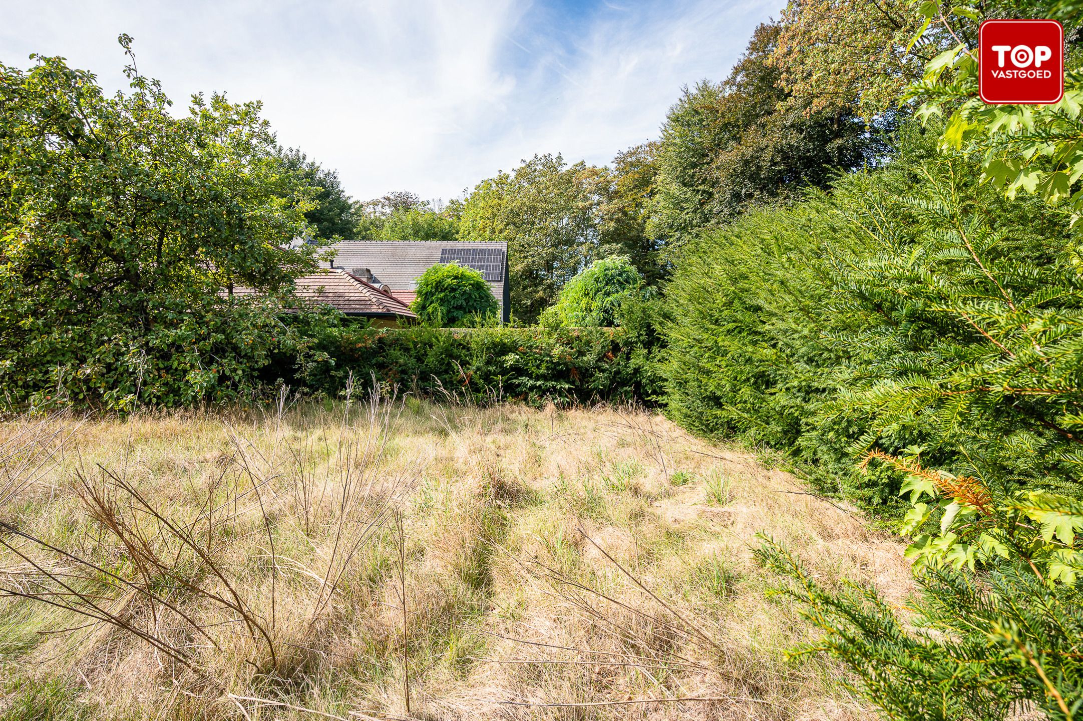 Ruim perceel op een Top locatie in Mariakerke foto 5