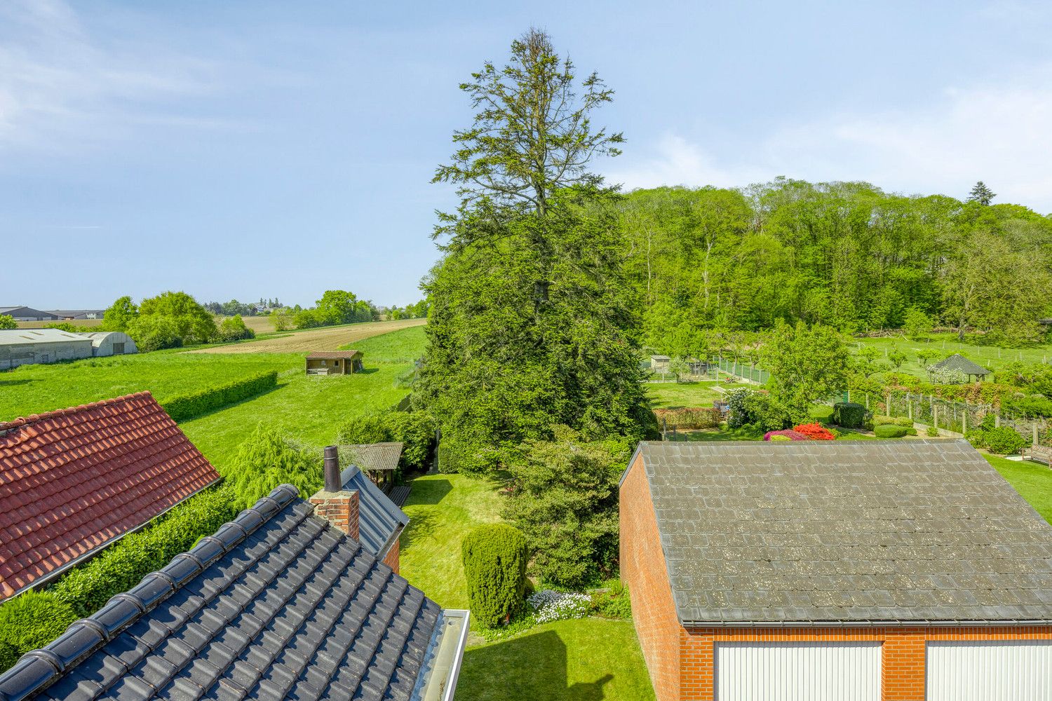 CHARMANTE OPEN BEBOUWING OP 16A 17CA MET PRACHTIGE TUIN EN DENNENBOS foto 16