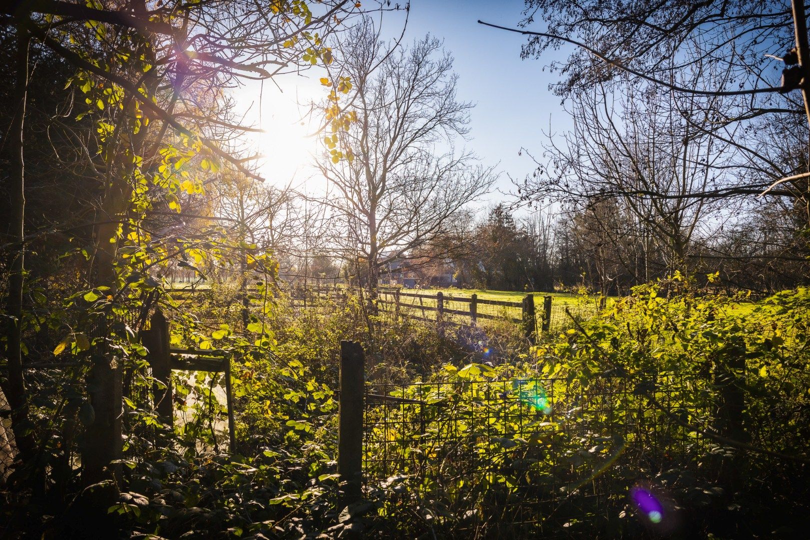 Grondig te renoveren / herop te bouwen woning te Maldegem foto 10