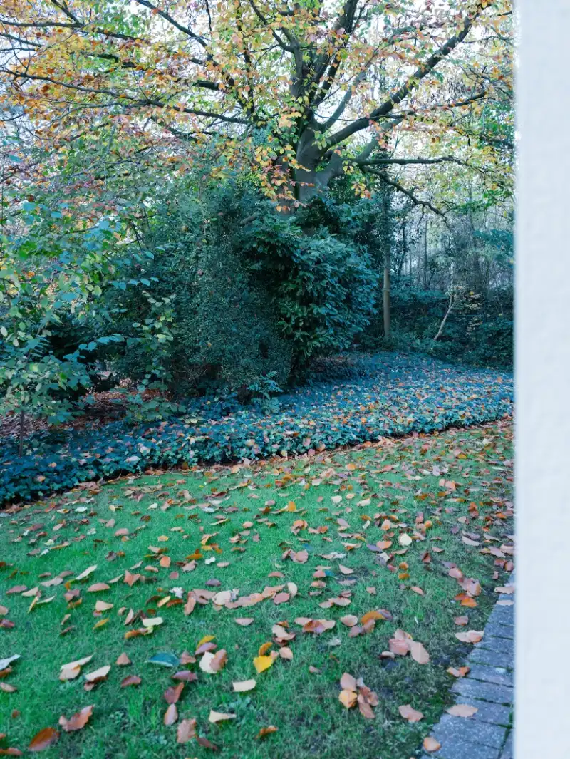 Ruim kantoor van 180 m2 met vlotte bereikbaarheid foto 19