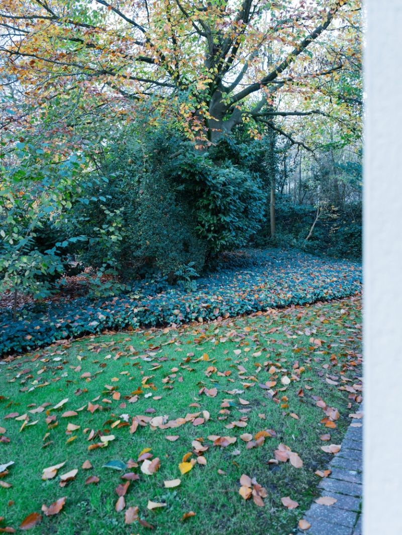 Ruim kantoor van 180 m2 met vlotte bereikbaarheid foto 19