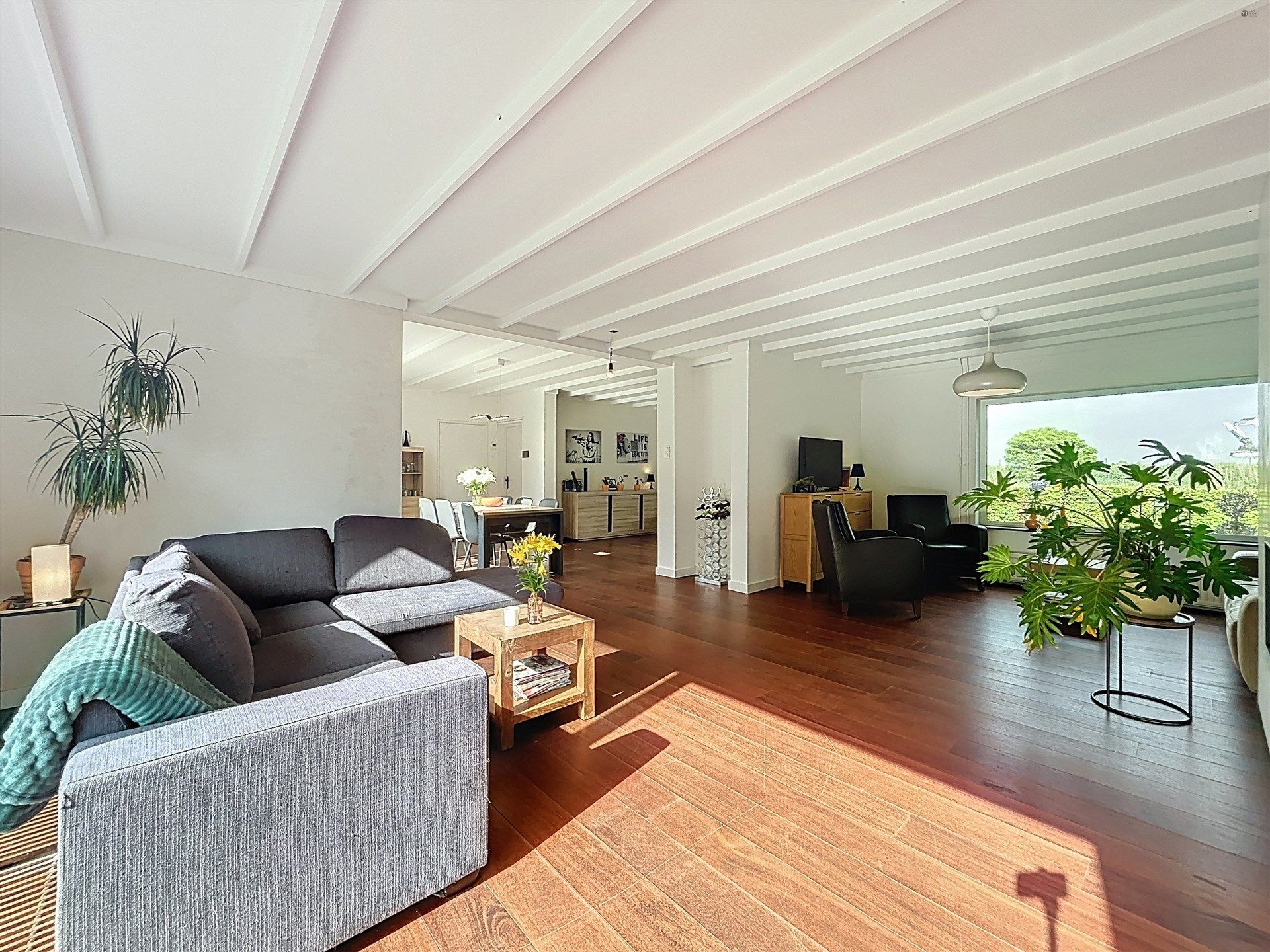 Prachtige villa met 5 slaapkamers, garage en verwarmd zwembad op perceel van 5864 m². foto 3