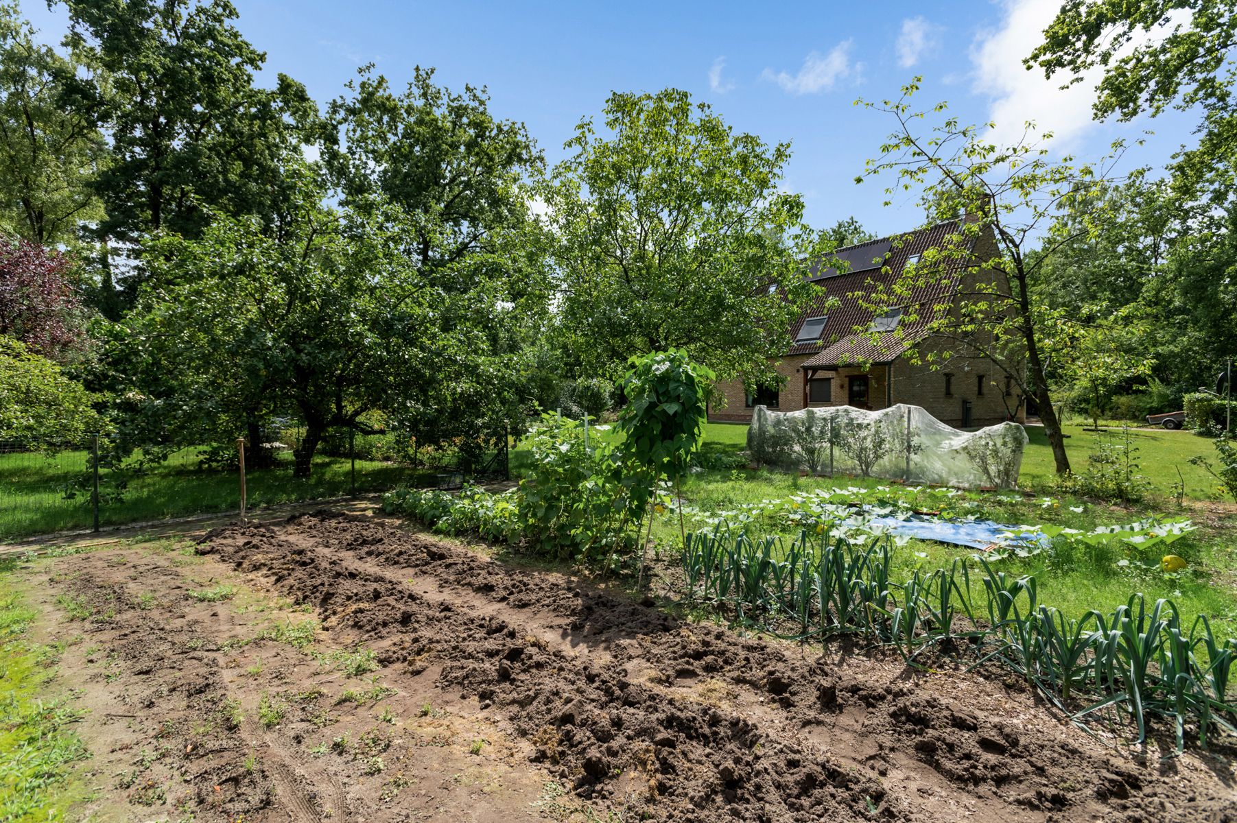 Goed onderhouden villa met prachtige tuin op ca. 3.136 m2. foto 28