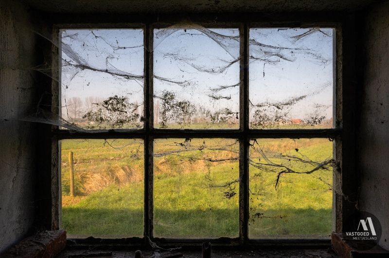 UNIEK gelegen hoeve op 7.290m² in Maldegem foto 15