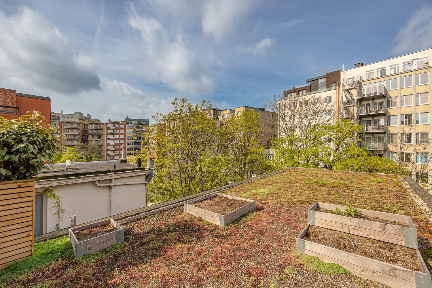 Cottage and the city: pure luxe op toplocatie aan het Stadspark in prachtig art-decogebouw met zalig terras foto 22