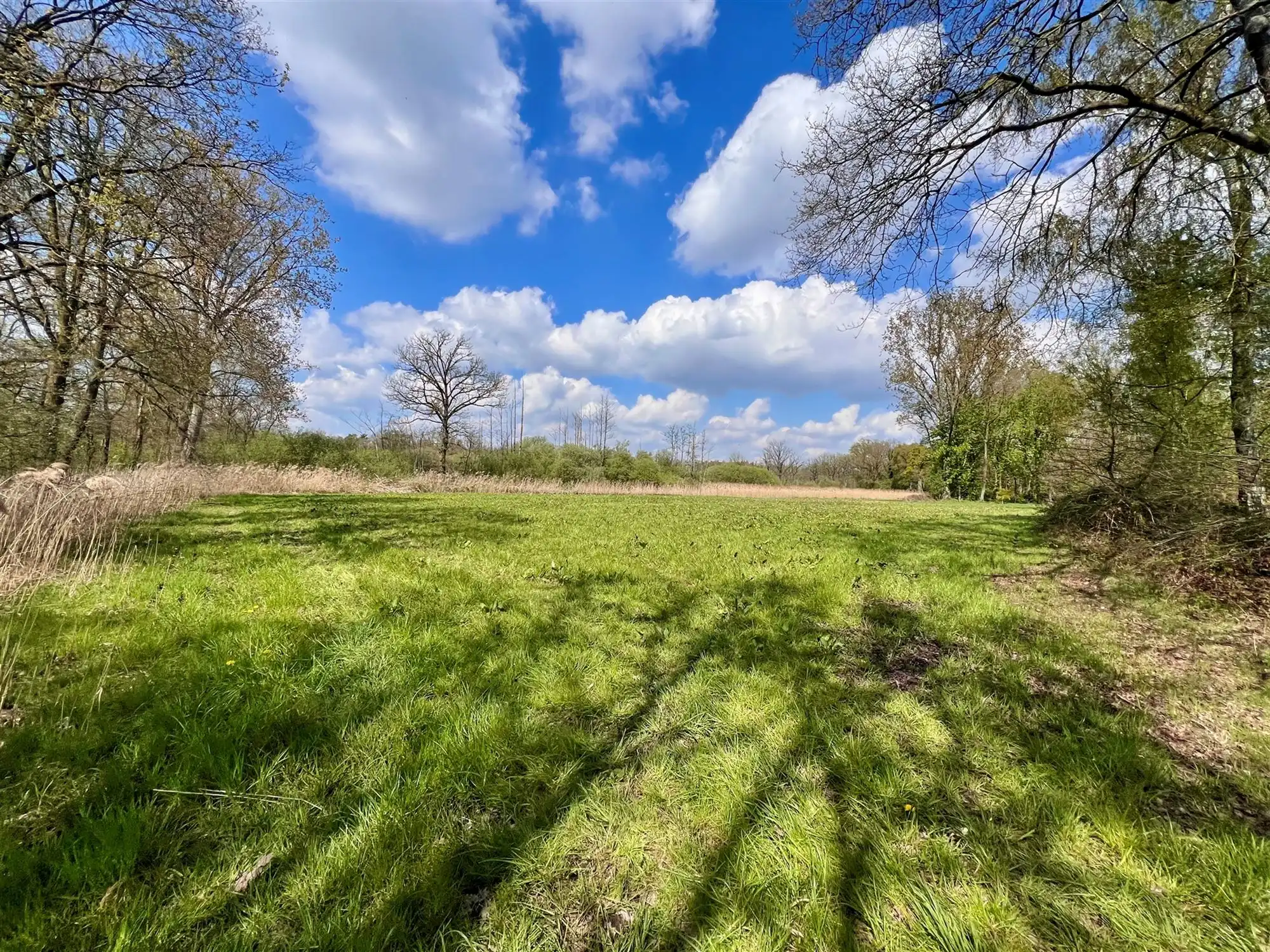 Agrarisch perceel van 8.260 m,  groene en rustige omgeving  foto 2