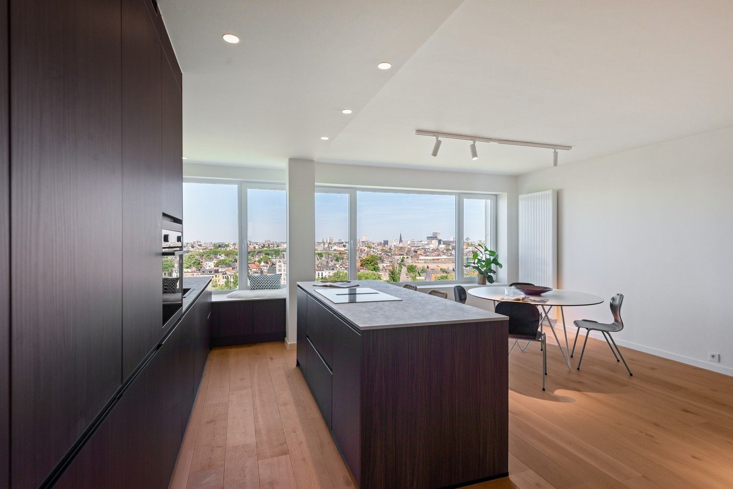 Volledig gerenoveerd appartement met fantastisch uitzicht te Berchem foto 3