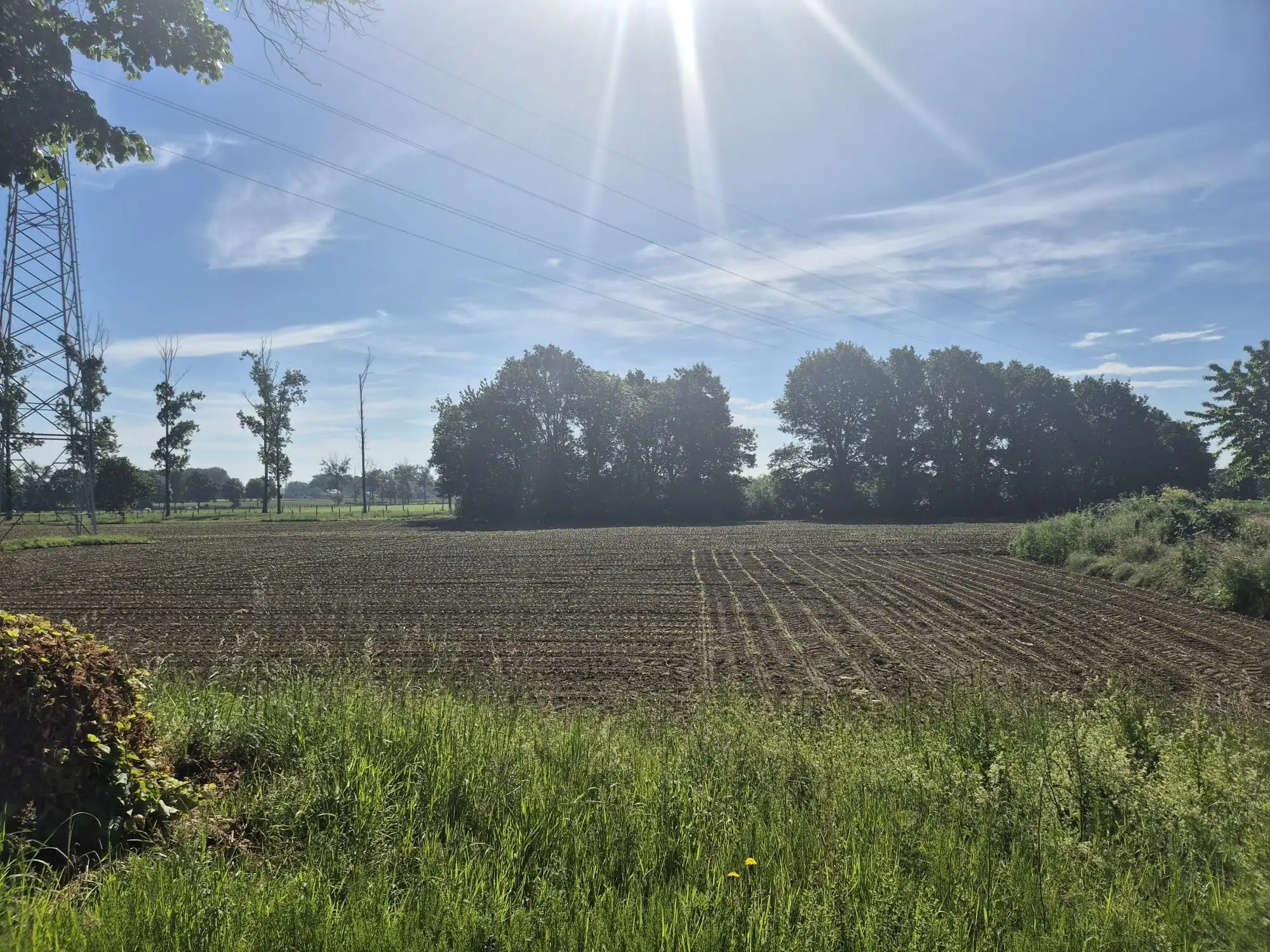Prachtig stuk weiland te koop foto 4