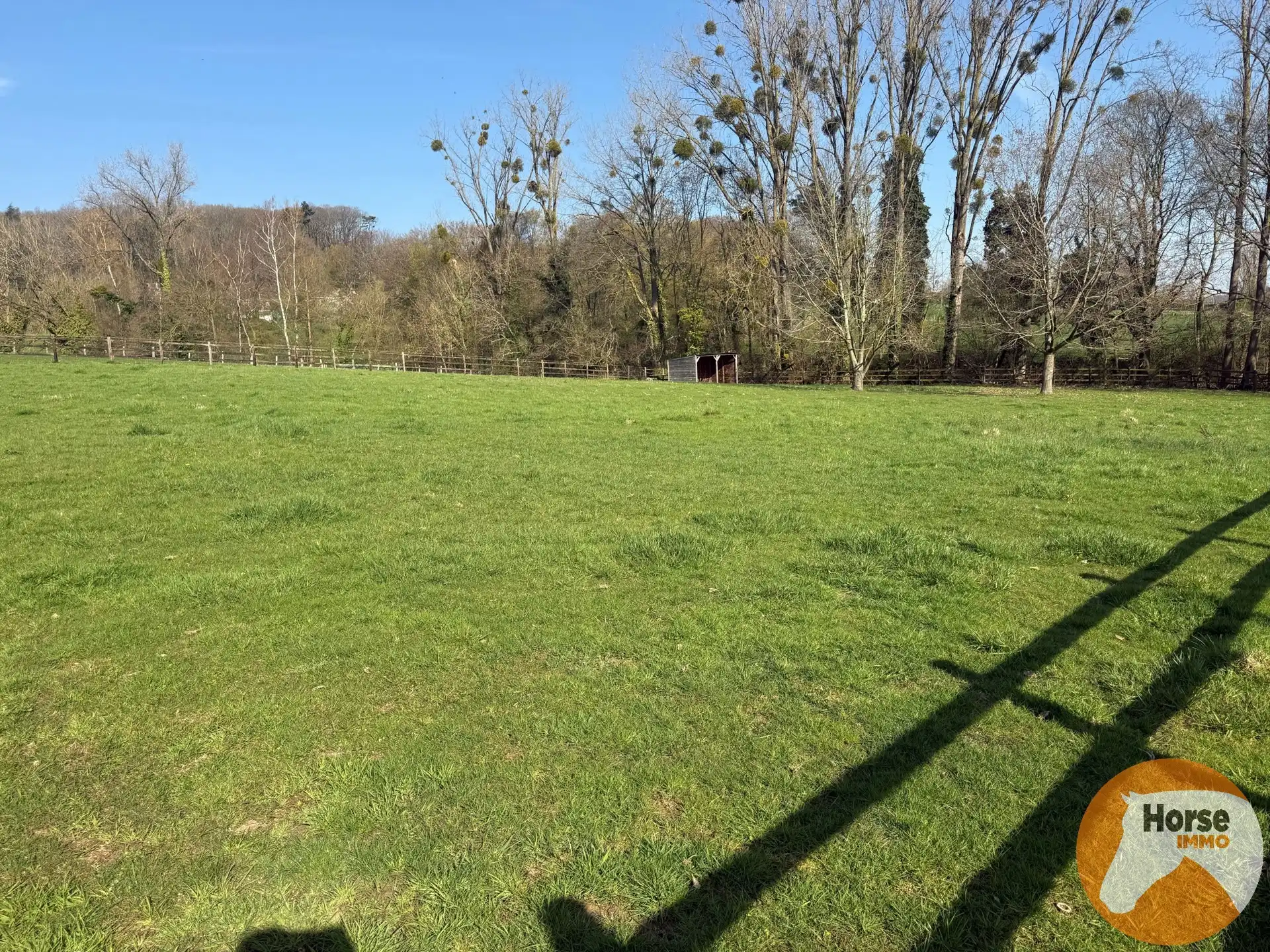 HALLE – Charmante woning met stallen op 1,15ha aan Hallerbos foto 11