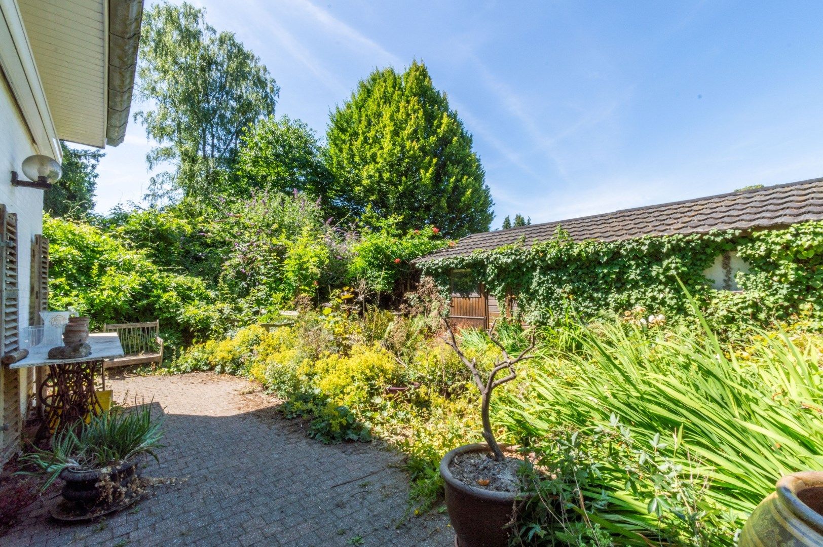 VOLLEDIG TE RENOVEREN VILLA MET 4 SLP, GARAGE & ZUID-TUIN! foto 3