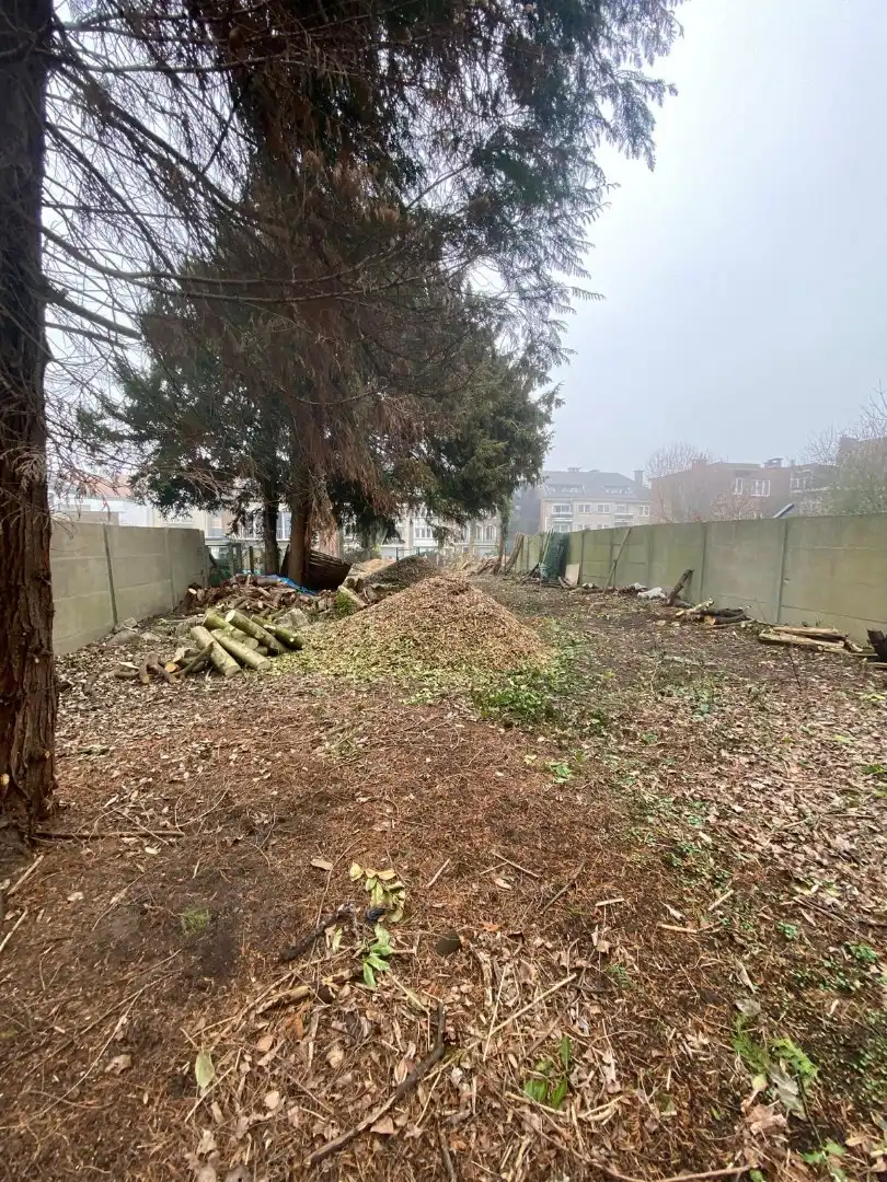 Een te vernieuwen, grote (305m²) “dokterswoning”  foto 10