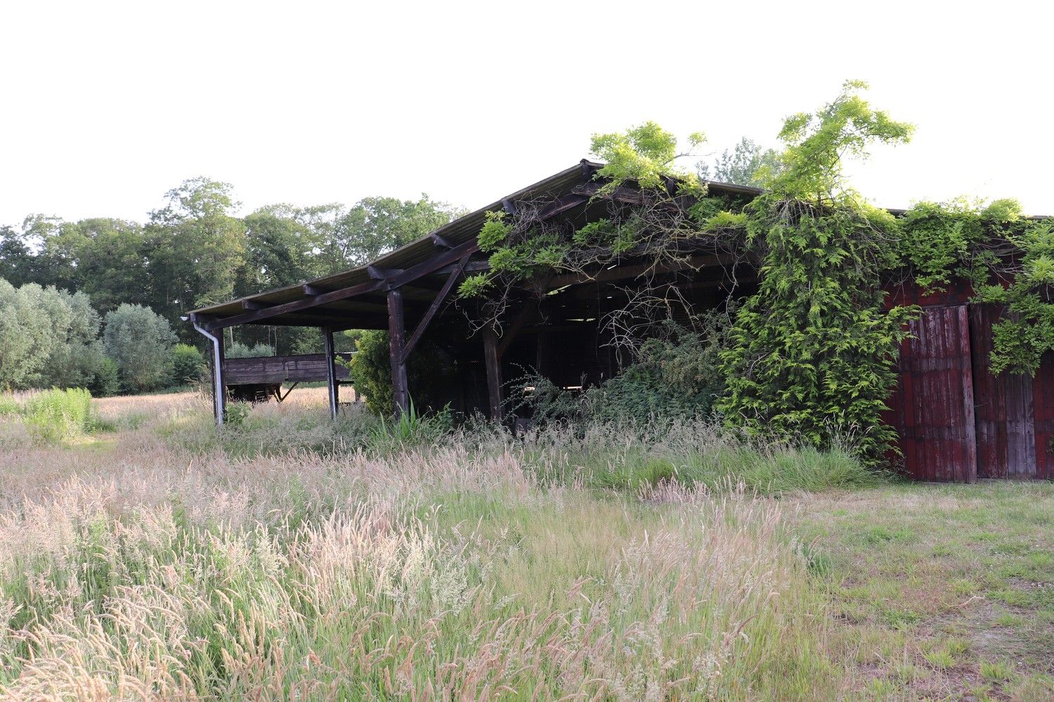 Hoeve met exclusieve ligging in valleigebied te koop te Maldegem foto 9