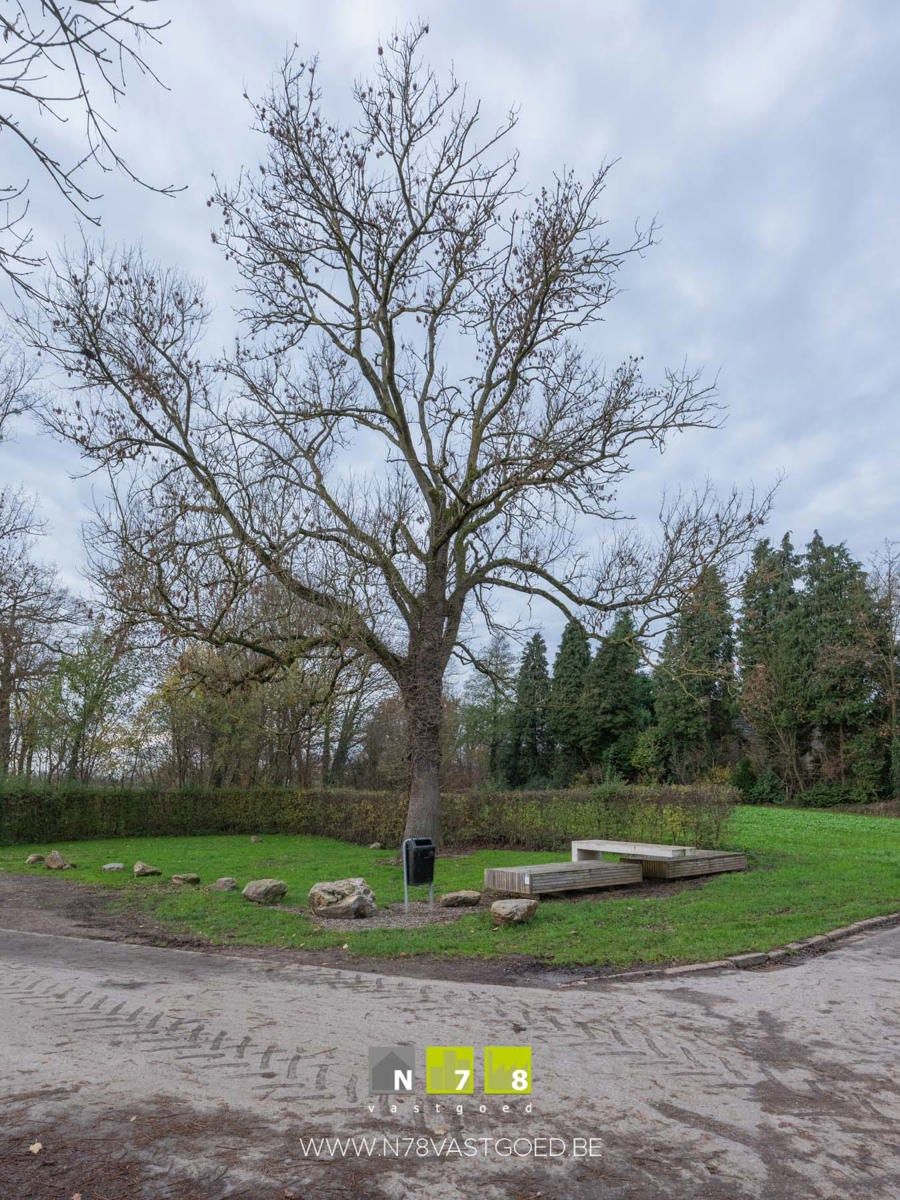 Huis te koop foto 16