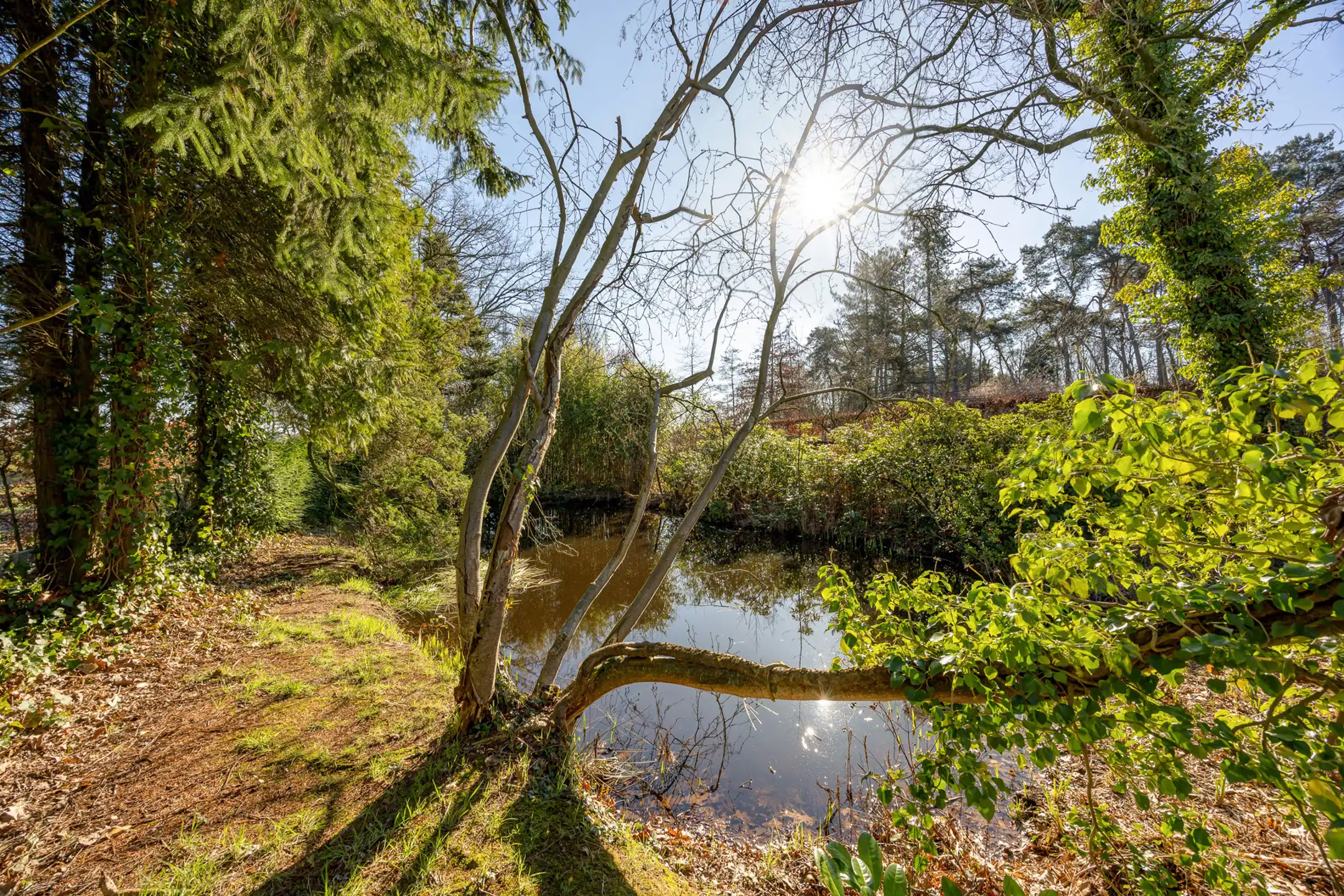 Verrassend ruime woning met 4 slpk's op 2.321m² perceel! foto 26