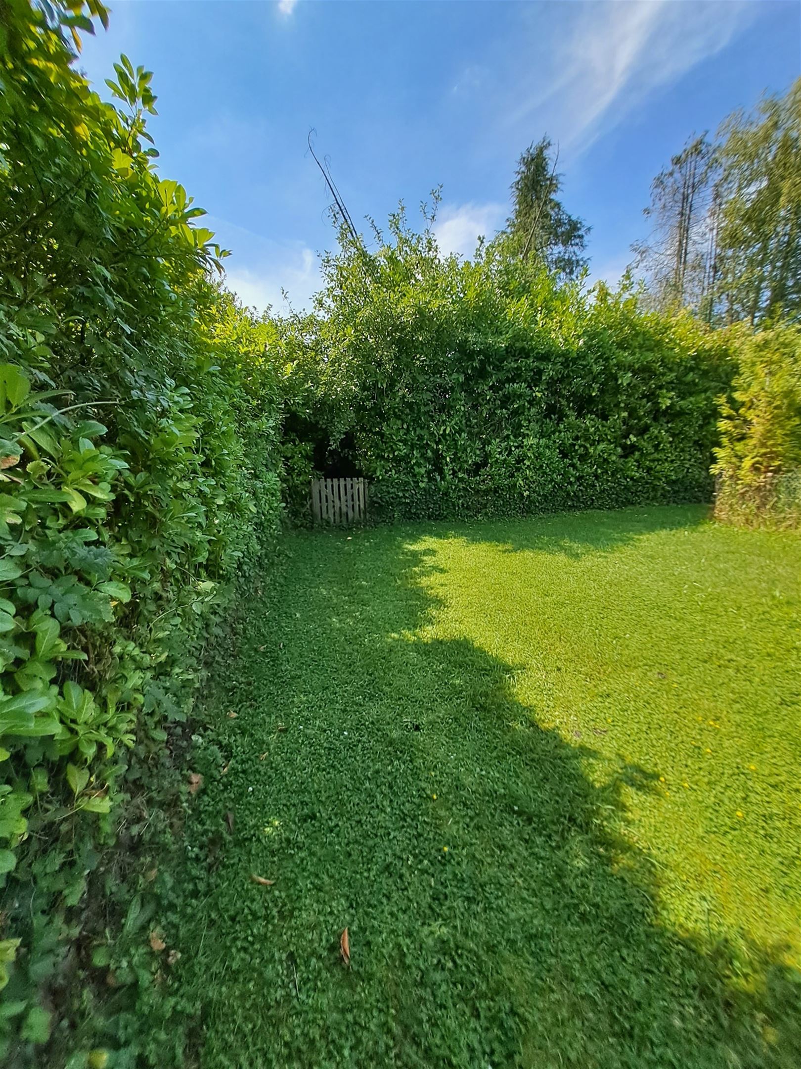 Vijver foto 8