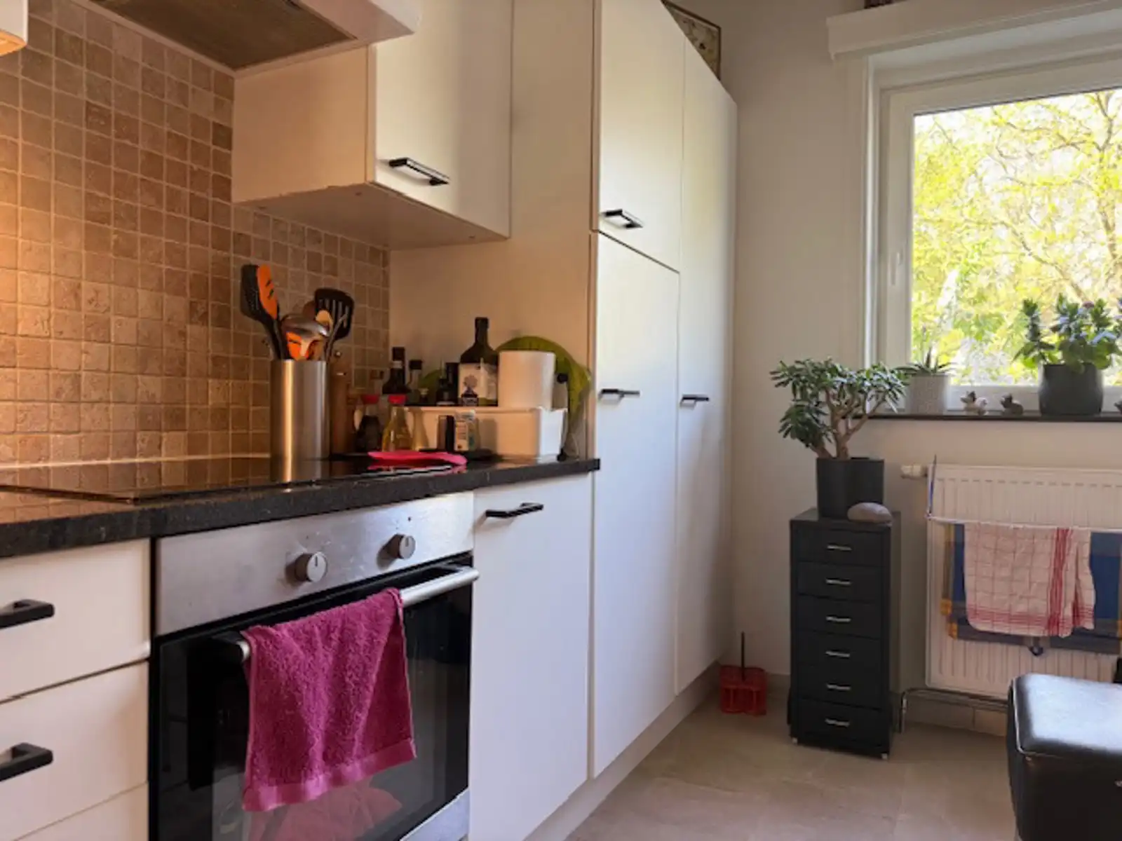 Te huur: instapklaar appartement dichtbij centrum Aalst  foto 9