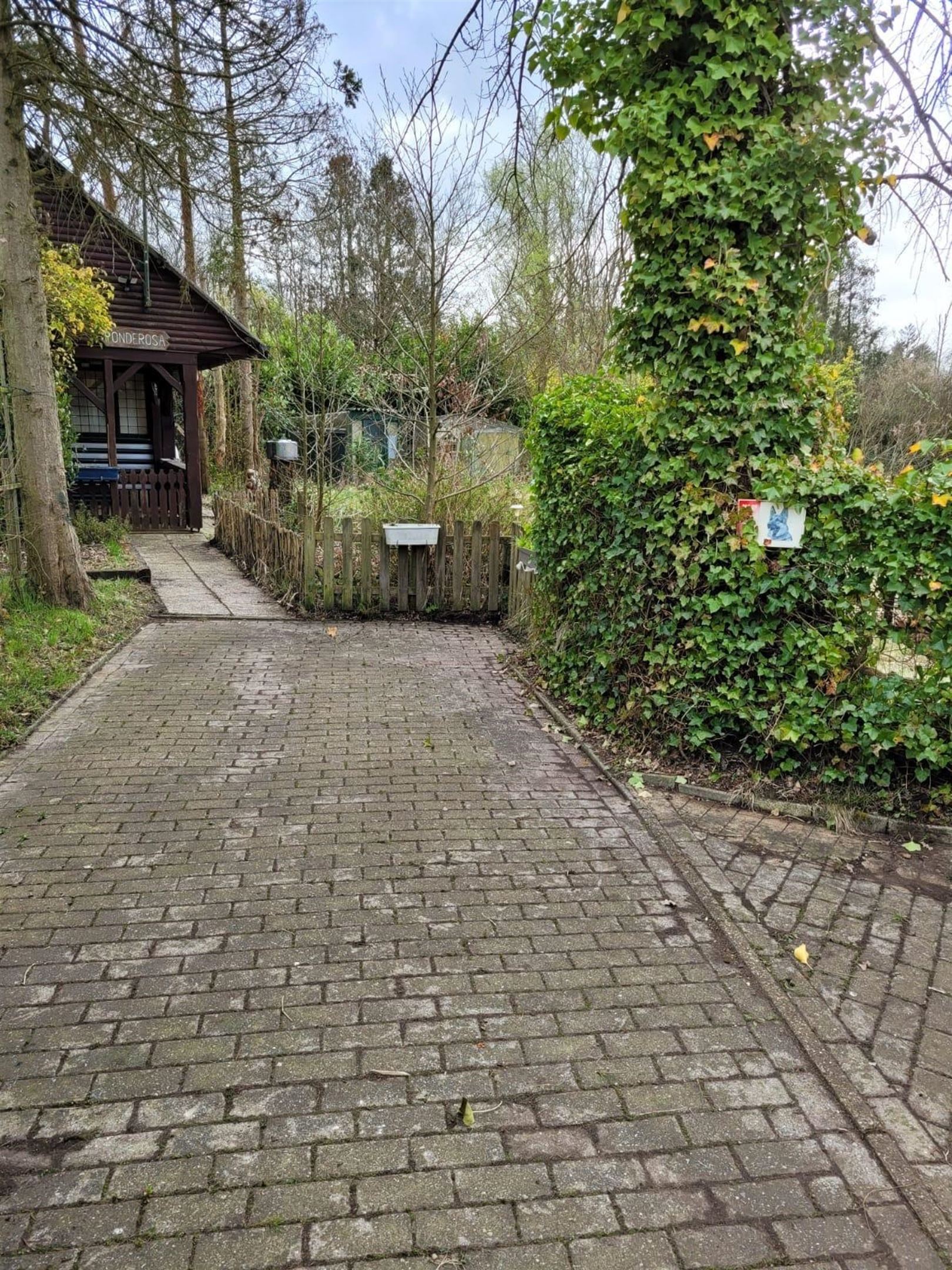 Vijver foto 15