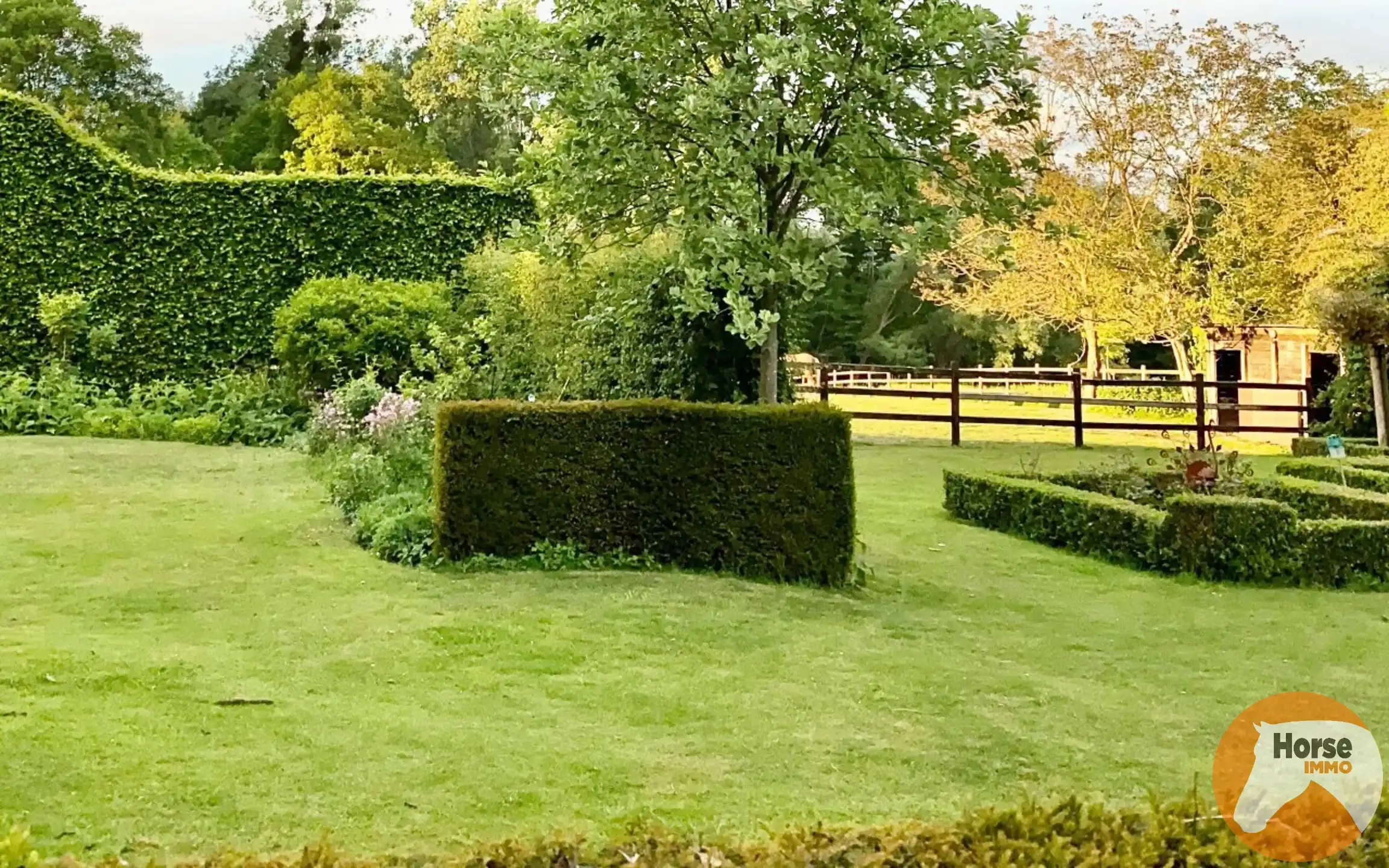 HALLE – Charmante woning met stallen op 1,15ha aan Hallerbos foto 6