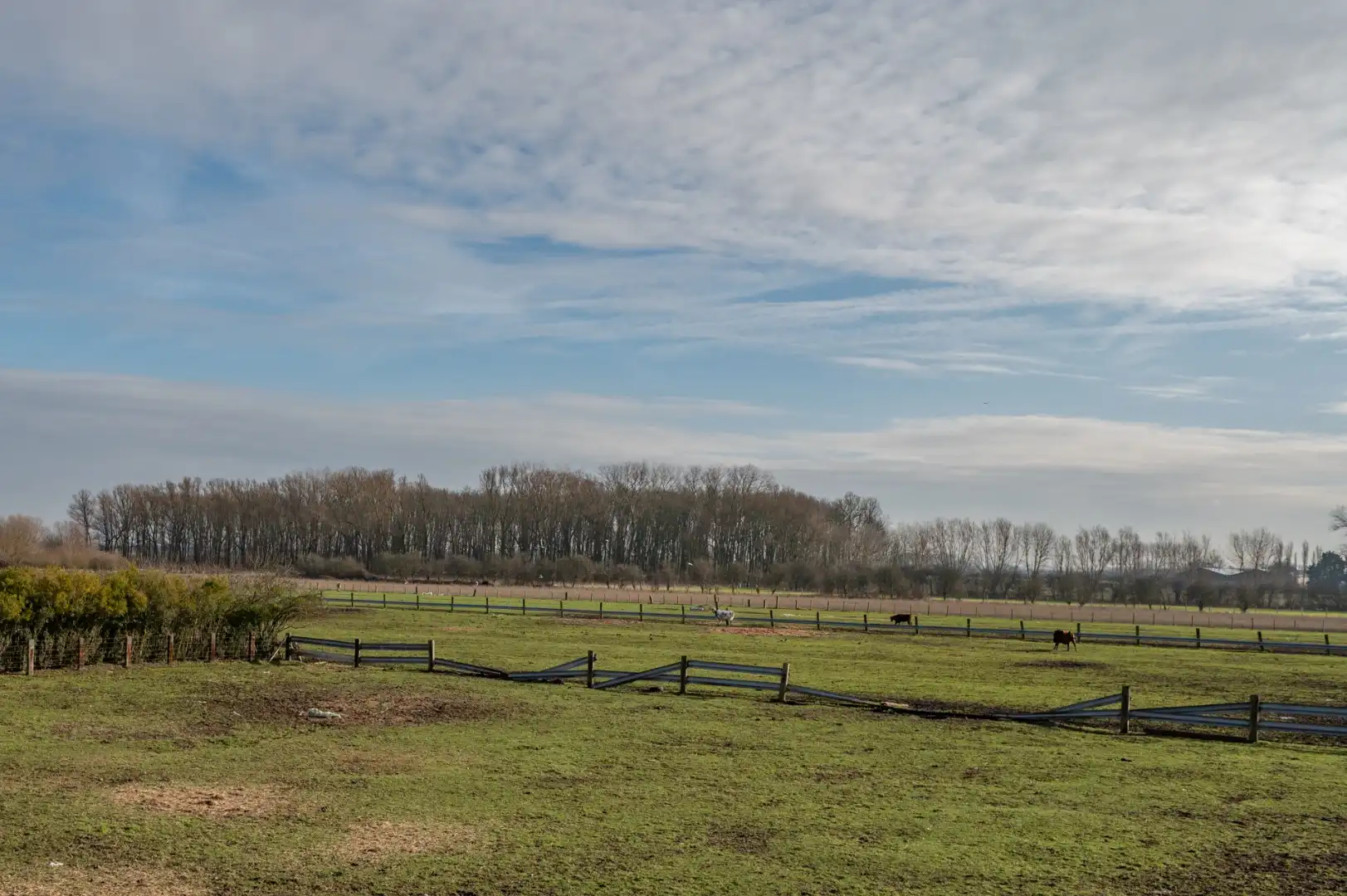 Lichtrijke bel-etage woning nabij van het Oosthoekplein in Het Zoute foto 29