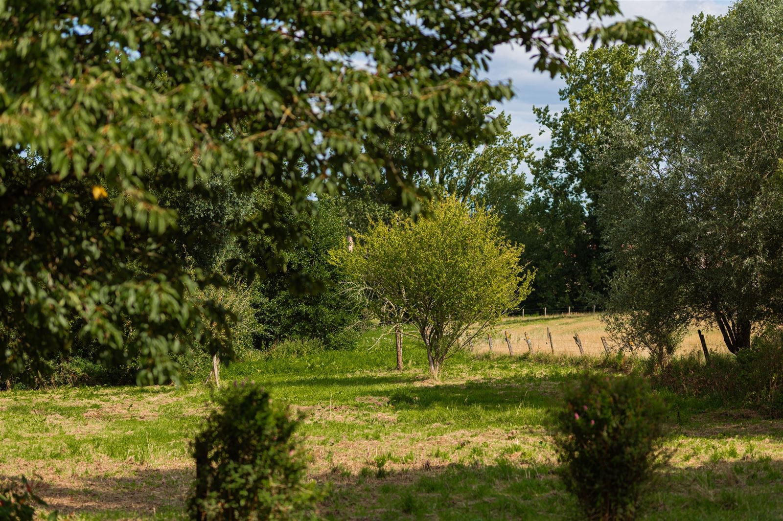 Instapklare, recent gerenoveerde villa te Zwalm! foto 4
