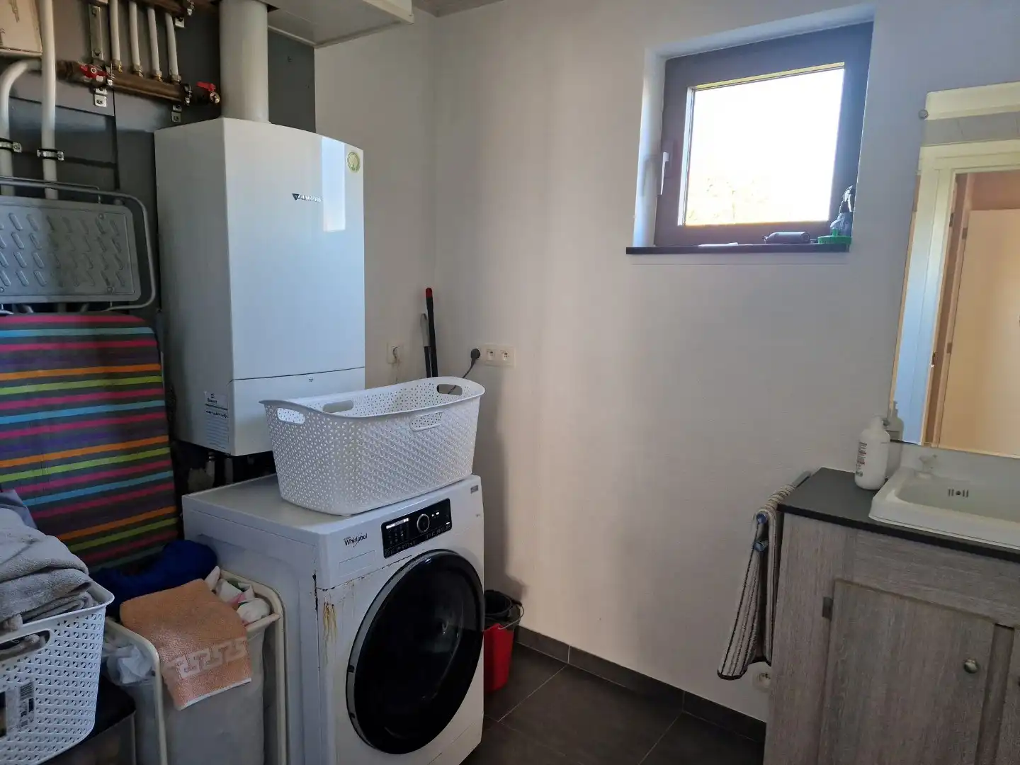 Hier zie je ze vliegen 😊  foto 7