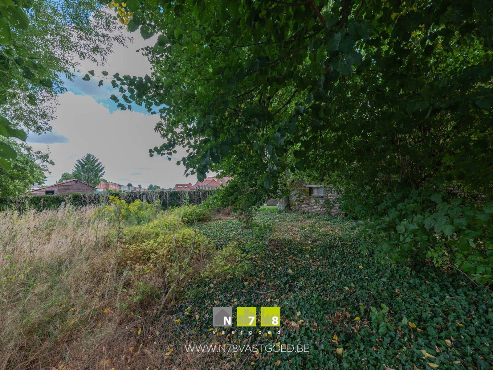 Boerderij te koop foto 21