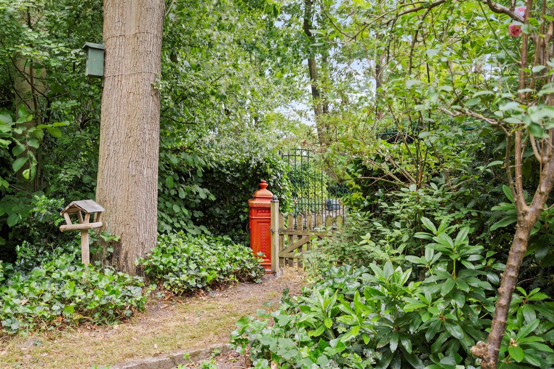 Rustig gelegen vakantiewoning op 802m² foto 18