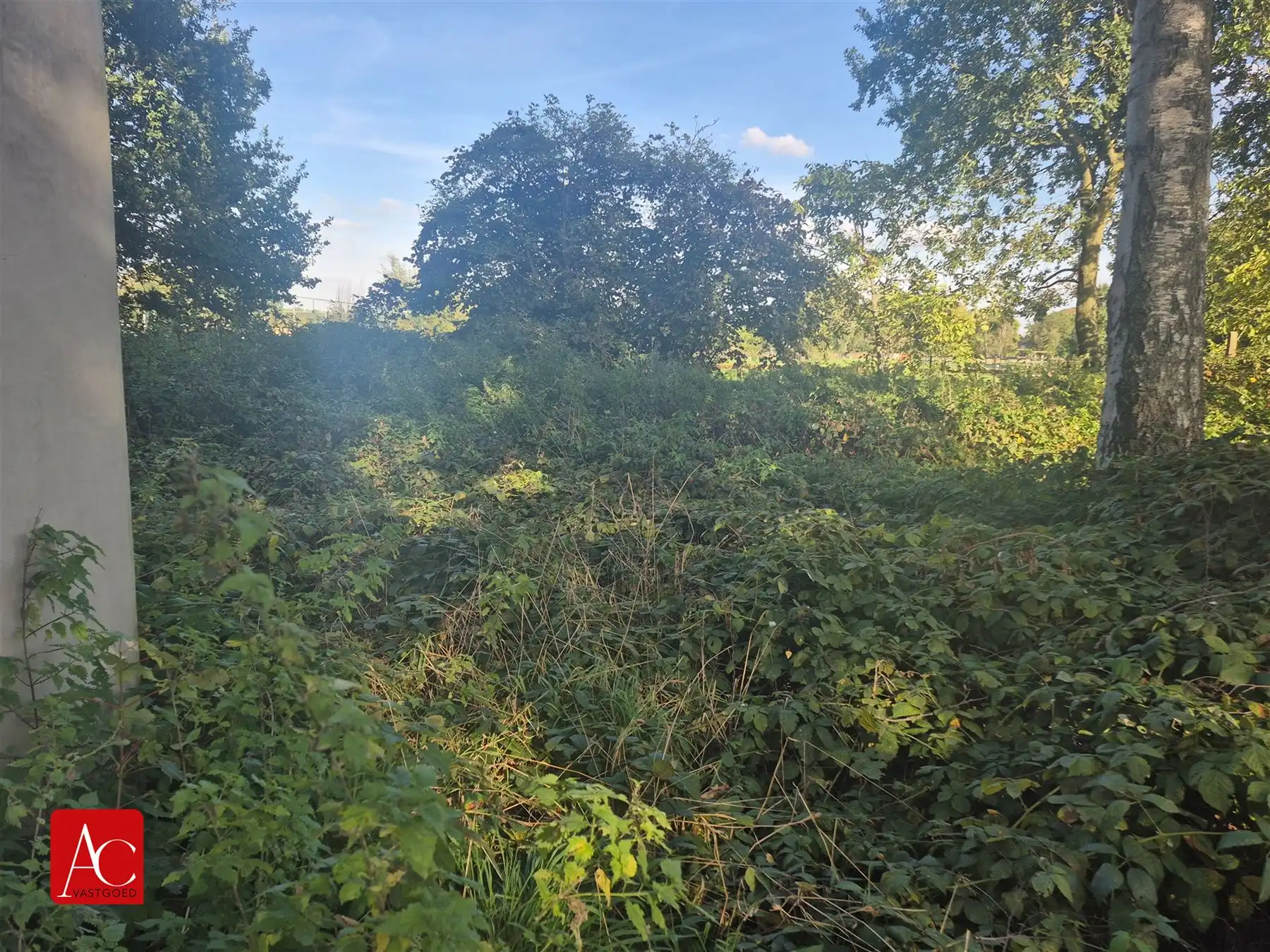 Recreatiegrond te Meerdonk foto 2