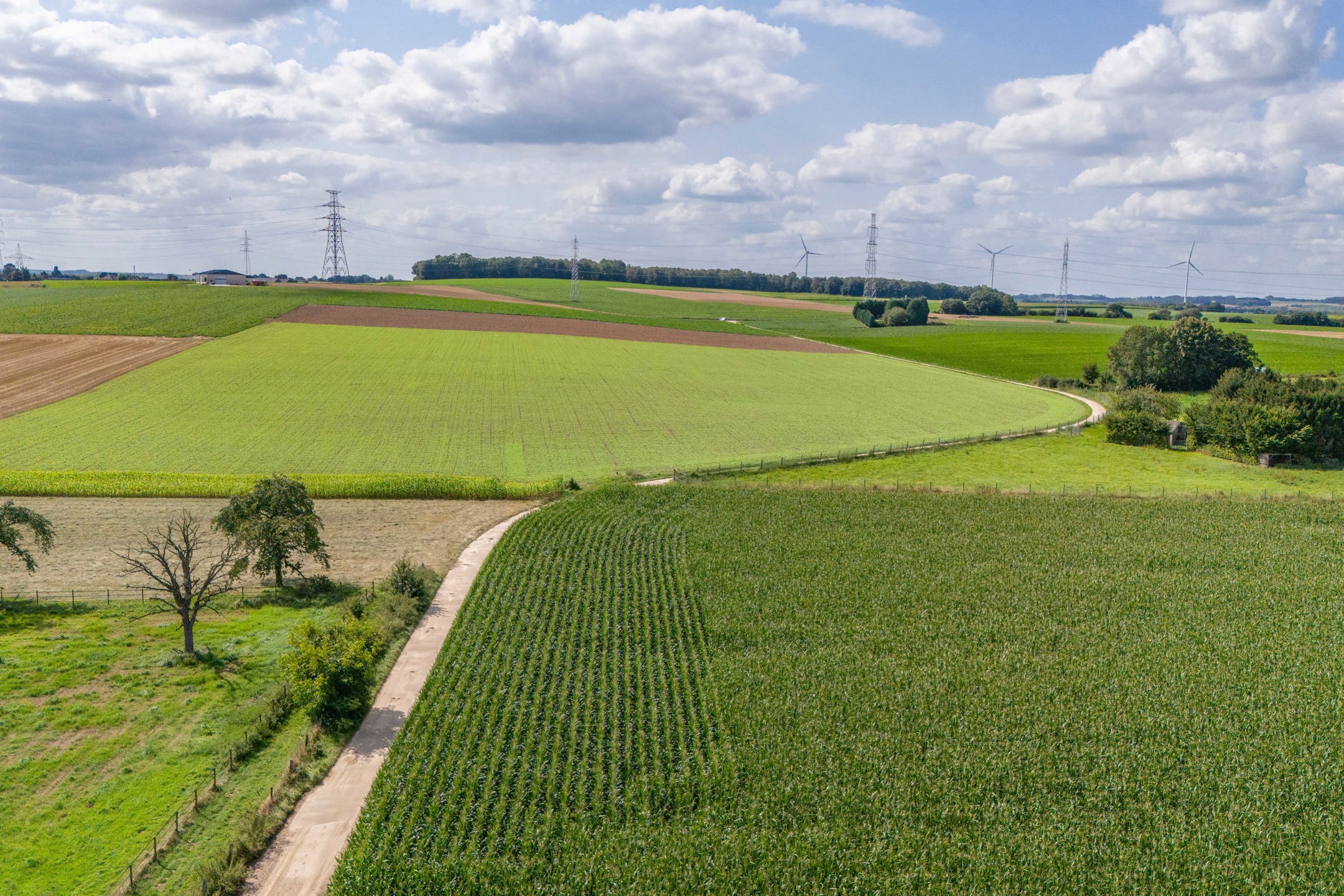 Authentieke vierkantshoeve in Herderen foto 5