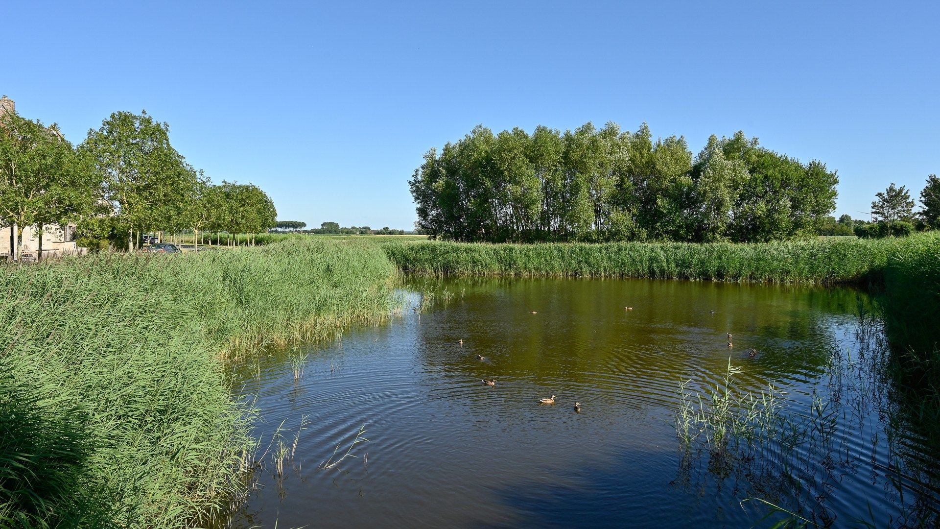 Bijzonder groot en goed onderhouden halfopen villa foto 28
